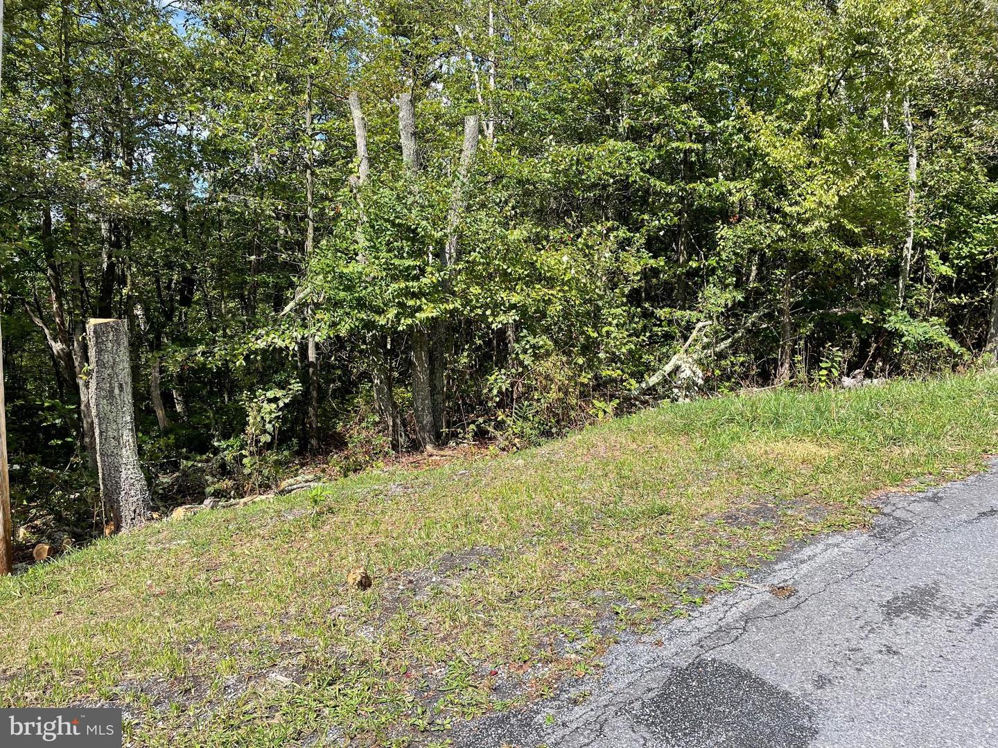 LOT 111 CUB TRL, WINCHESTER, Virginia 22602, ,Land,For sale,LOT 111 CUB TRL,VAFV2020878 MLS # VAFV2020878