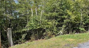 LOT 111 CUB TRL, WINCHESTER, Virginia 22602, ,Land,For sale,LOT 111 CUB TRL,VAFV2020878 MLS # VAFV2020878