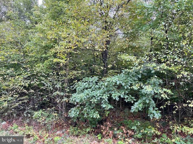 0 CUB TRL #LOT 90, WINCHESTER, Virginia 22602, ,Land,For sale,0 CUB TRL #LOT 90,VAFV2020880 MLS # VAFV2020880