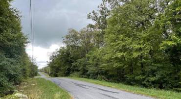 0 CUB TRL #LOT 90, WINCHESTER, Virginia 22602, ,Land,For sale,0 CUB TRL #LOT 90,VAFV2020880 MLS # VAFV2020880