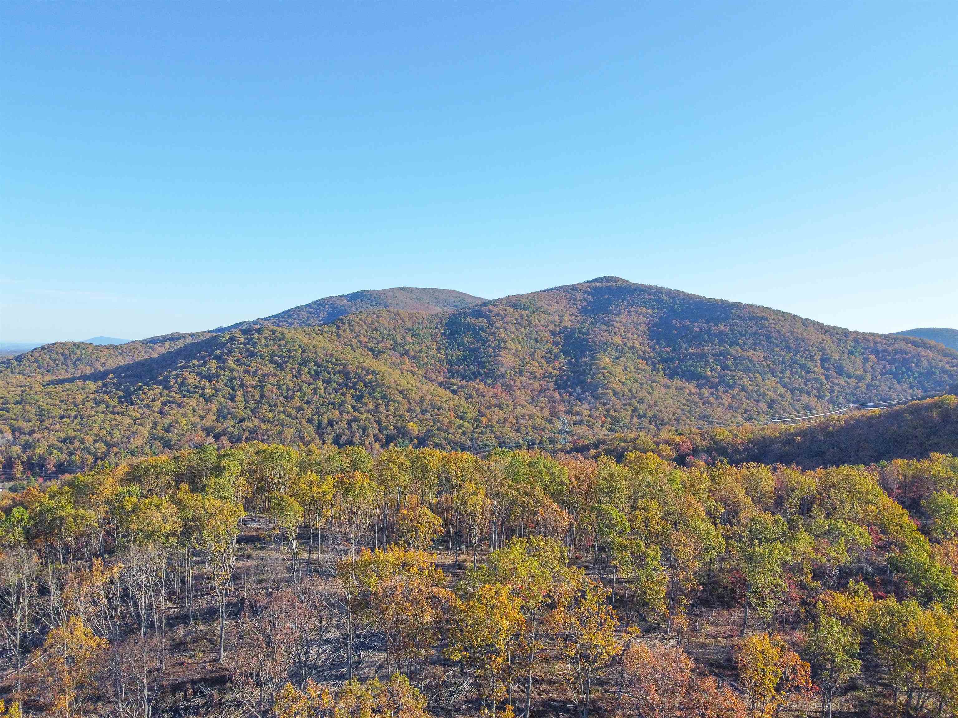 TBD CALF MOUNTAIN RD, WAYNESBORO, Virginia 22980, ,Farm,TBD CALF MOUNTAIN RD,644970 MLS # 644970