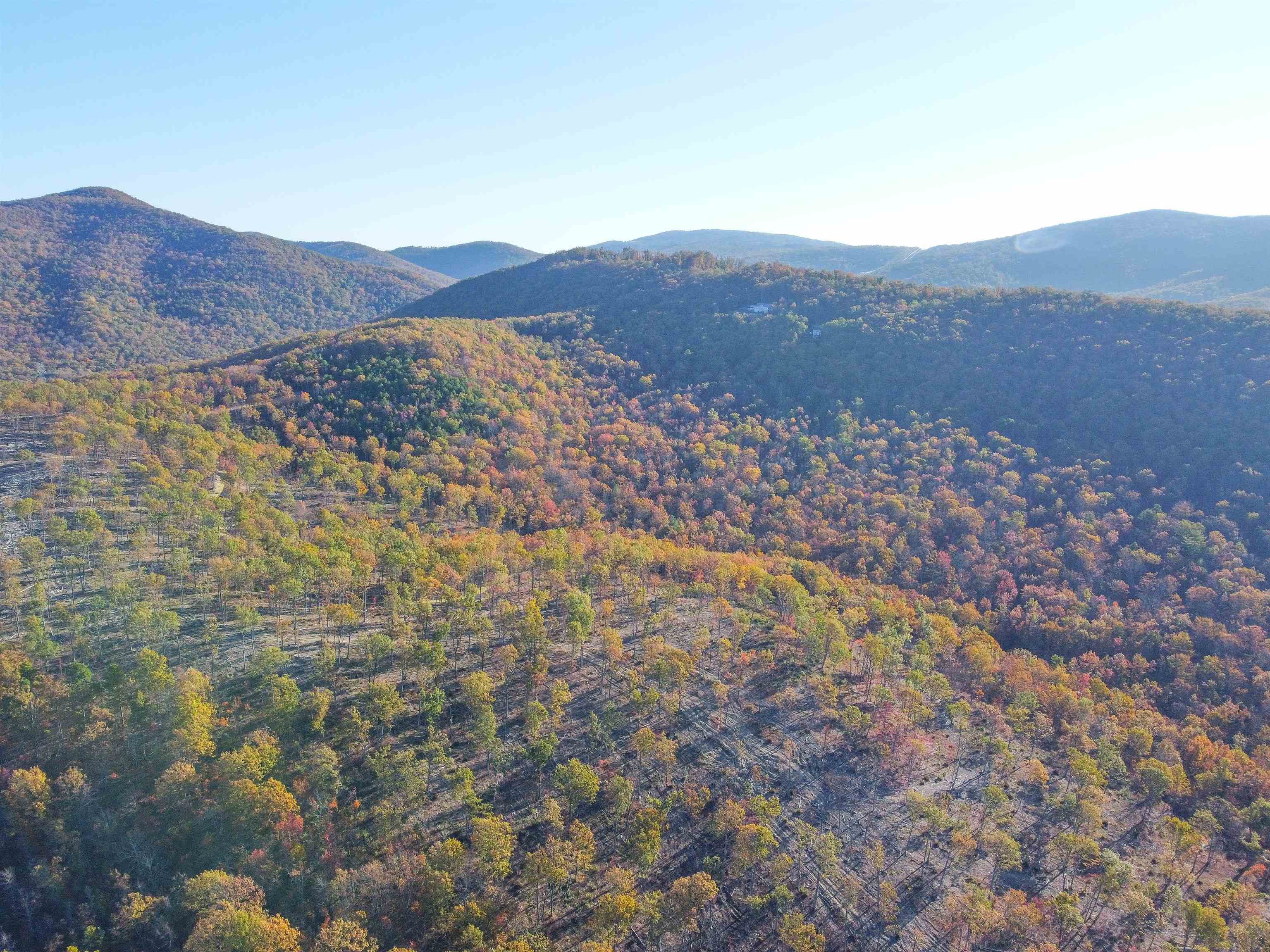 TBD CALF MOUNTAIN RD, WAYNESBORO, Virginia 22980, ,Farm,TBD CALF MOUNTAIN RD,644970 MLS # 644970