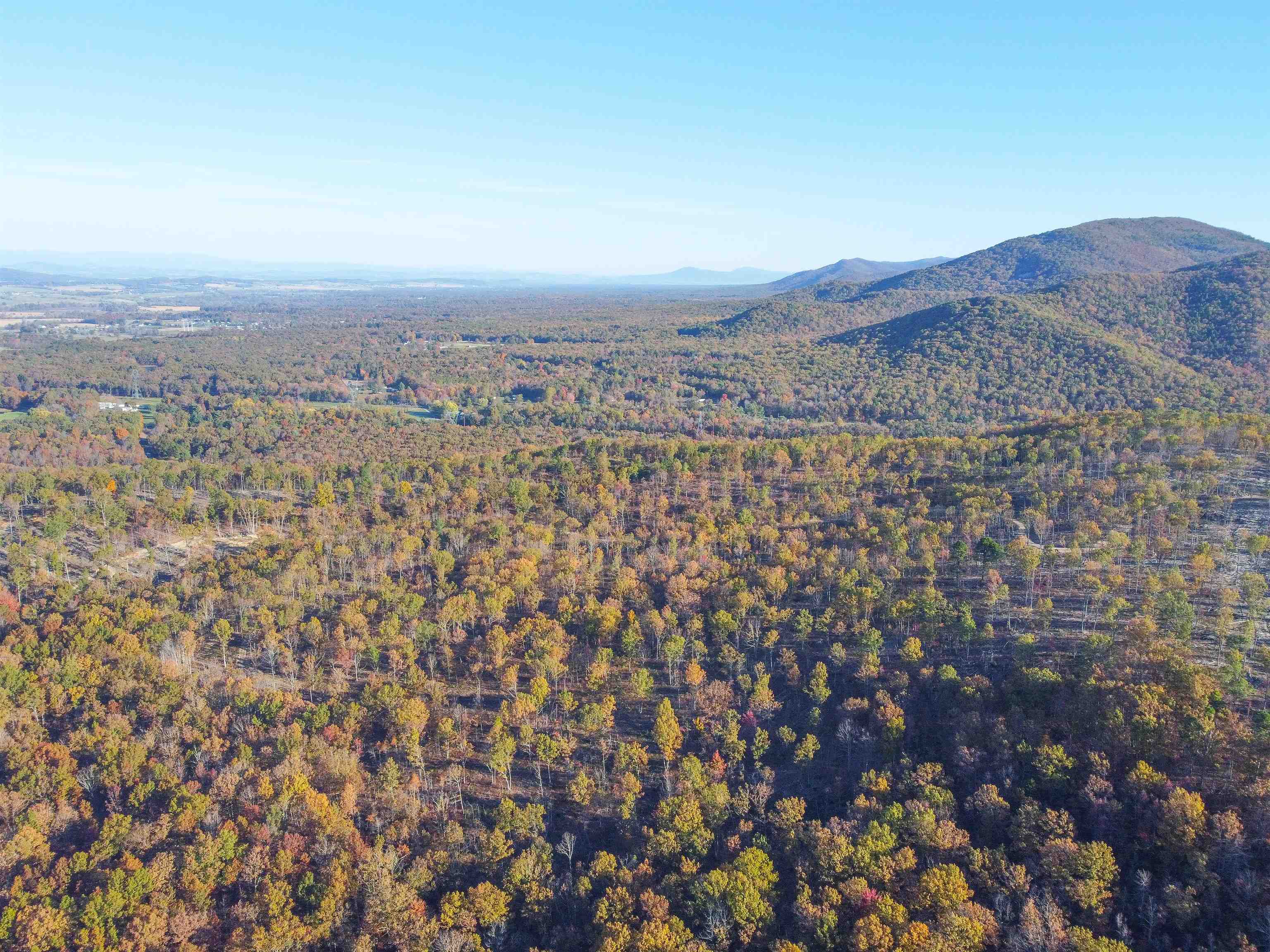 TBD CALF MOUNTAIN RD, WAYNESBORO, Virginia 22980, ,Farm,TBD CALF MOUNTAIN RD,644970 MLS # 644970