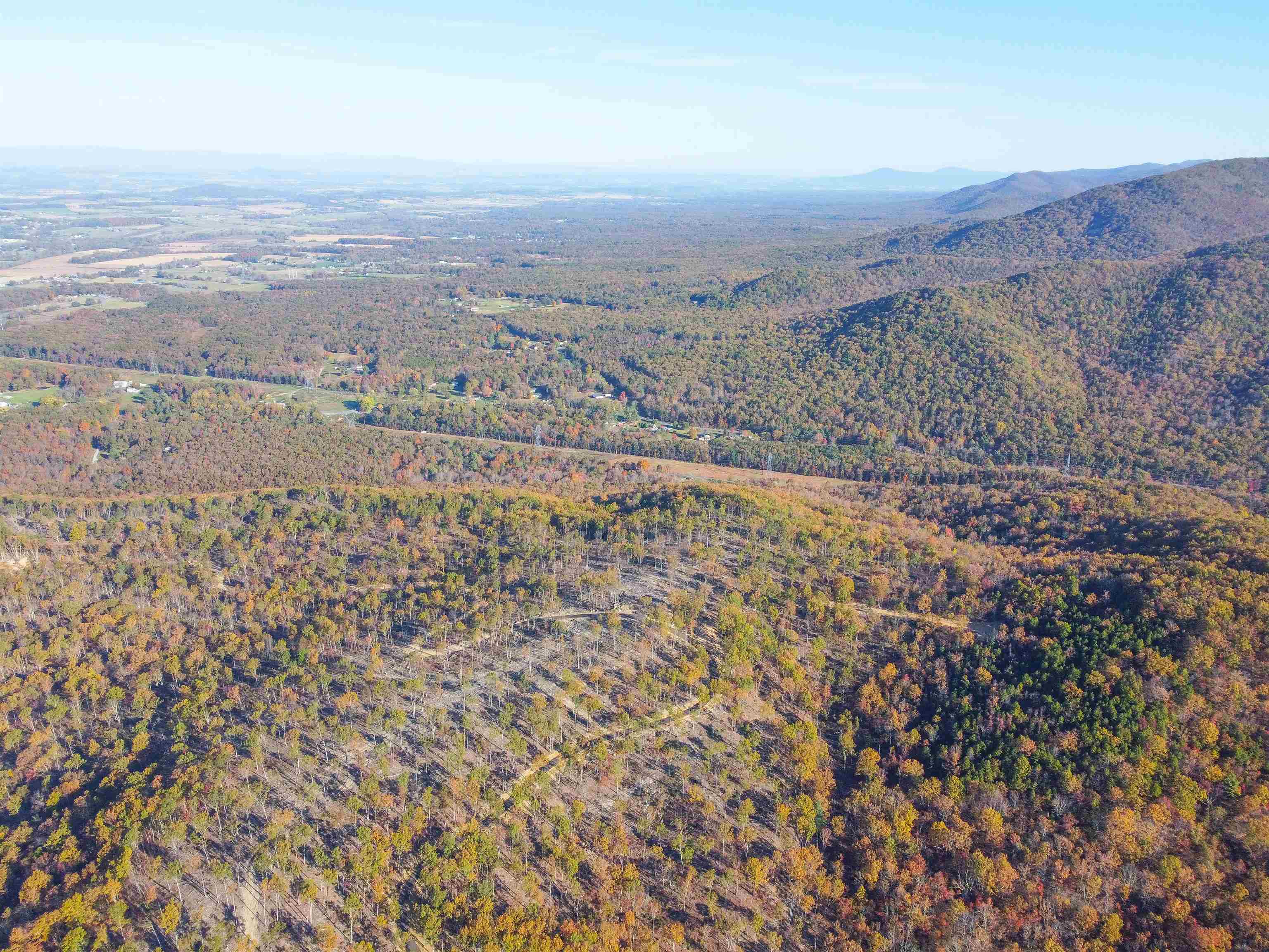 TBD CALF MOUNTAIN RD, WAYNESBORO, Virginia 22980, ,Farm,TBD CALF MOUNTAIN RD,644970 MLS # 644970