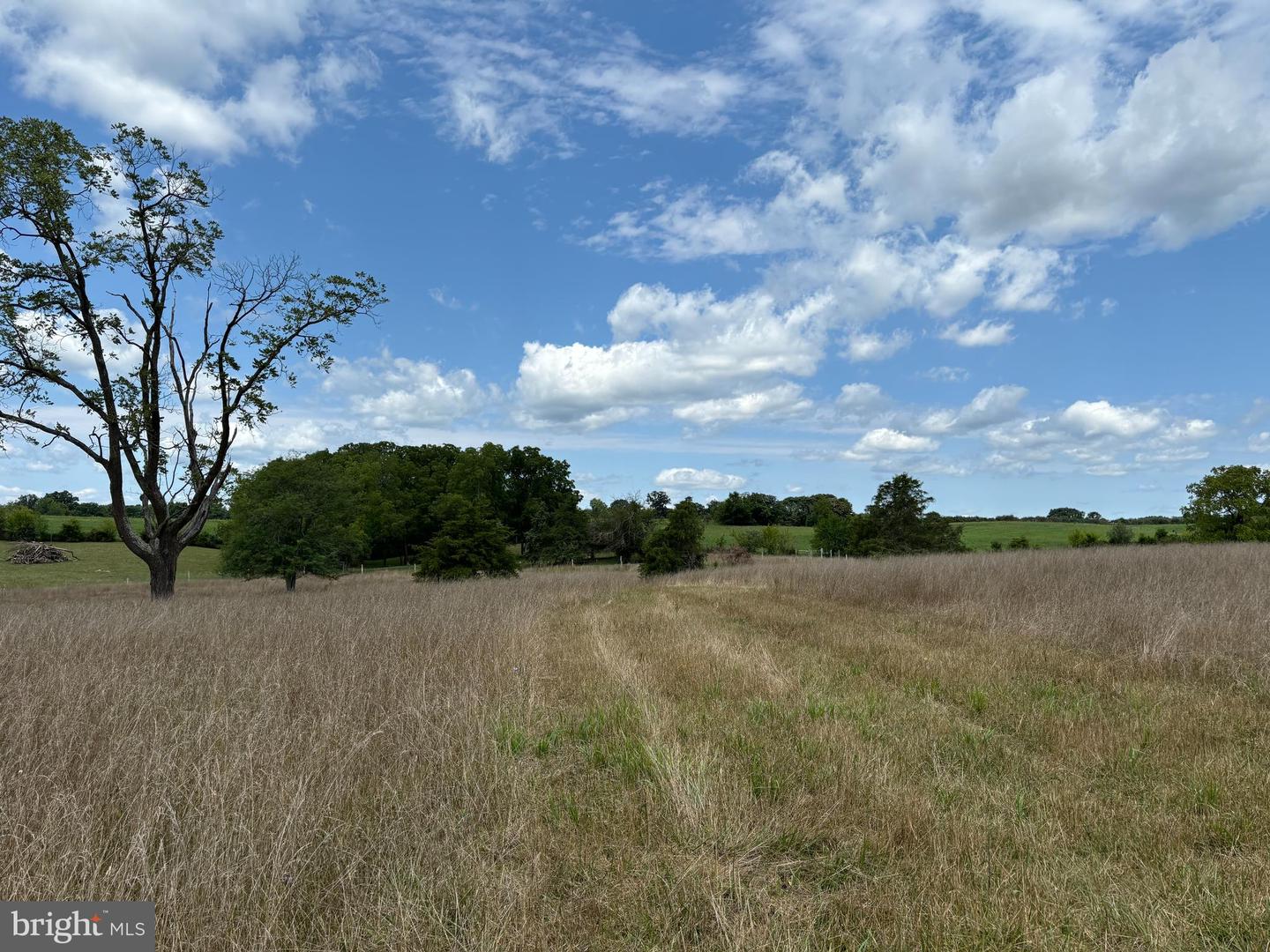 0 CHAPEL ROAD, MIDDLETOWN, Virginia 22645, ,Land,For sale,0 CHAPEL ROAD,VAFV2020624 MLS # VAFV2020624