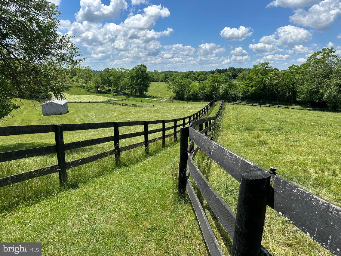 266 QUARTER HORSE LANE, BOYCE, Virginia 22620, 3 Bedrooms Bedrooms, ,2 BathroomsBathrooms,Farm,For sale,266 QUARTER HORSE LANE,VACL2002926 MLS # VACL2002926