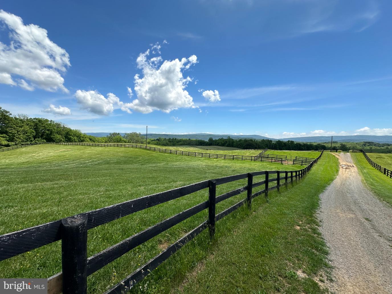 266 QUARTER HORSE LANE, BOYCE, Virginia 22620, 3 Bedrooms Bedrooms, ,2 BathroomsBathrooms,Farm,For sale,266 QUARTER HORSE LANE,VACL2002926 MLS # VACL2002926