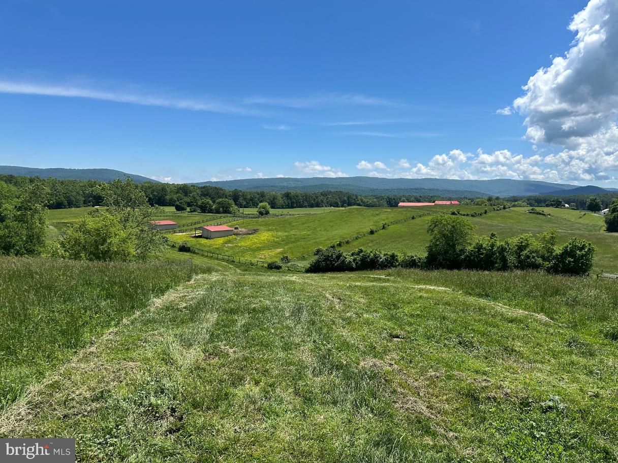 266 QUARTER HORSE LANE, BOYCE, Virginia 22620, 3 Bedrooms Bedrooms, ,2 BathroomsBathrooms,Farm,For sale,266 QUARTER HORSE LANE,VACL2002926 MLS # VACL2002926