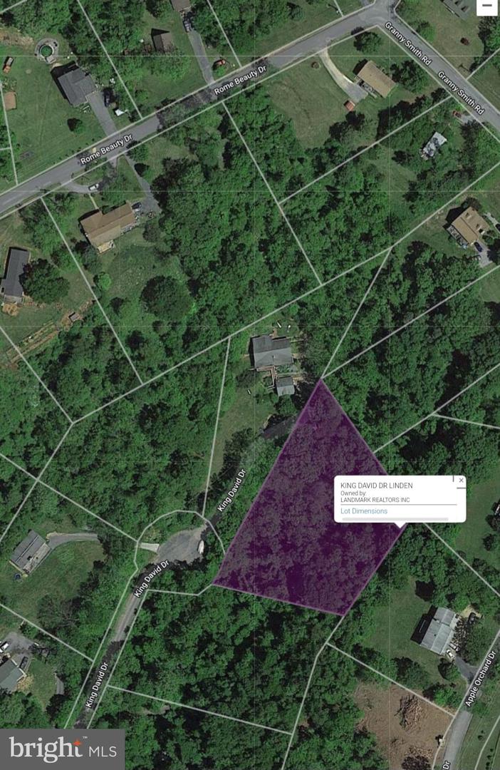 KING DAVID DR, LINDEN, Virginia 22642, ,Land,For sale,KING DAVID DR,VAWR2006962 MLS # VAWR2006962