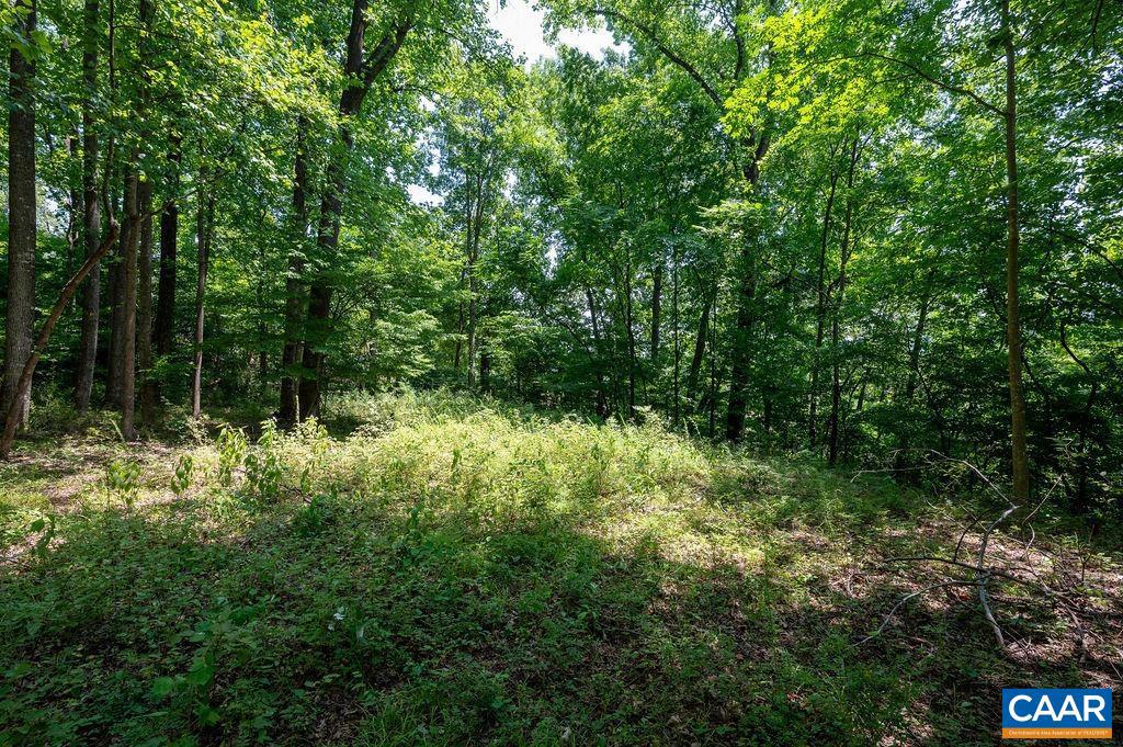 990 ROCKFISH VALLEY HWY, NELLYSFORD, Virginia 22958, ,Land,For sale,990 ROCKFISH VALLEY HWY,654783 MLS # 654783