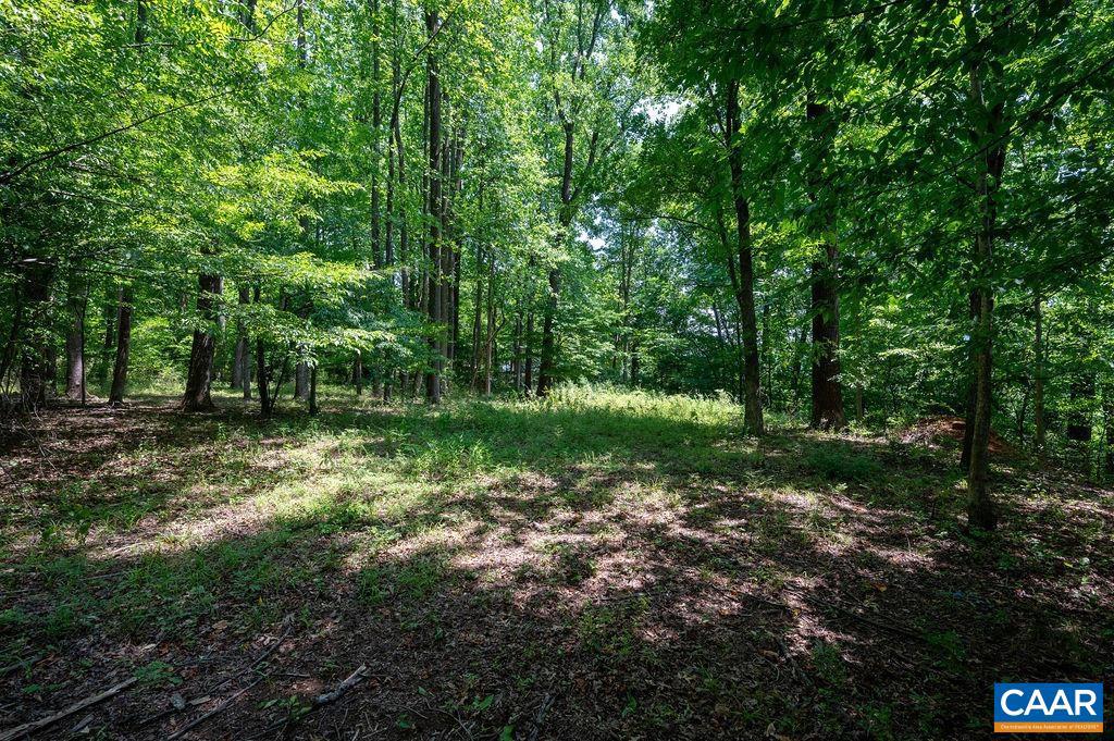 990 ROCKFISH VALLEY HWY, NELLYSFORD, Virginia 22958, ,Land,For sale,990 ROCKFISH VALLEY HWY,654783 MLS # 654783