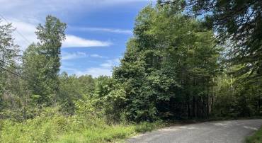 SHARON RD, ESMONT, Virginia 22937, ,Land,For sale,SHARON RD,655814 MLS # 655814