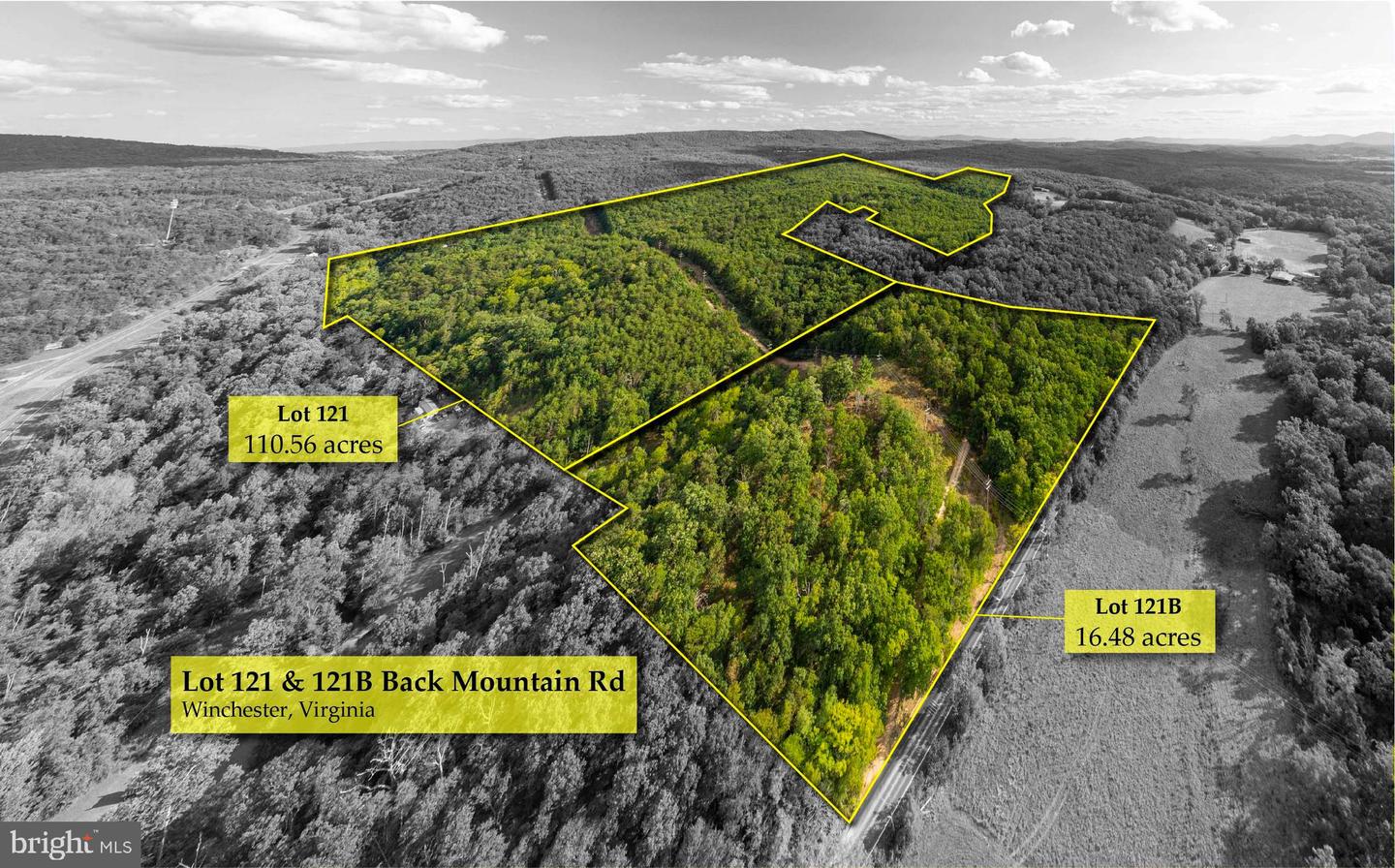 0 BACK MOUNTAIN RD, WINCHESTER, Virginia 22602, ,Farm,For sale,0 BACK MOUNTAIN RD,VAFV2020928 MLS # VAFV2020928