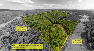 0 BACK MOUNTAIN RD, WINCHESTER, Virginia 22602, ,Farm,For sale,0 BACK MOUNTAIN RD,VAFV2020928 MLS # VAFV2020928