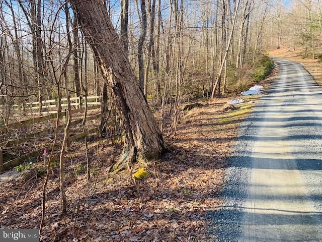 17043 WATERFALL RD, HAYMARKET, Virginia 20169, ,Land,For sale,17043 WATERFALL RD,VAPW2075126 MLS # VAPW2075126