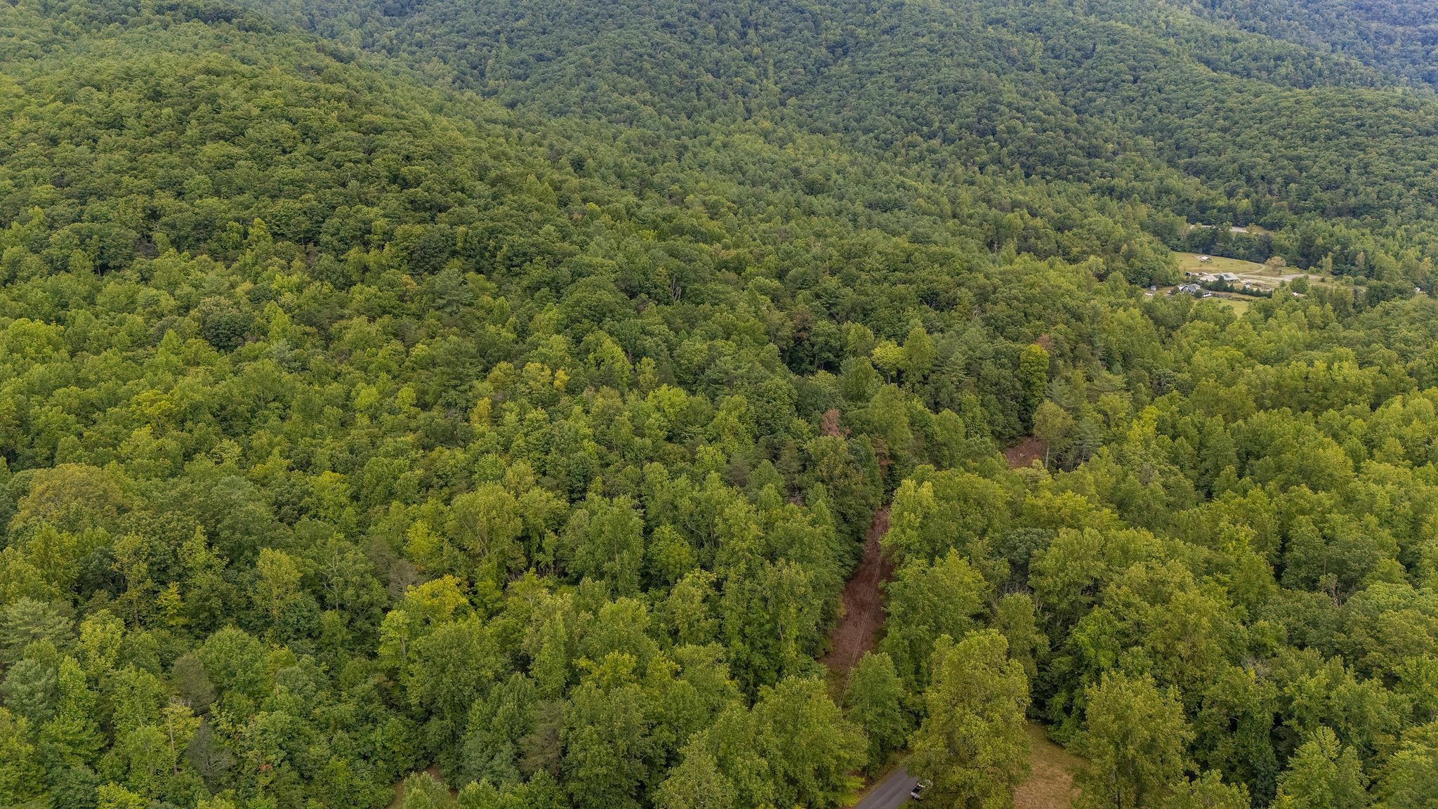 48.48 Acres BLACKWELLS HOLLOW RD, CROZET, Virginia 22932, ,Land,48.48 Acres BLACKWELLS HOLLOW RD,655852 MLS # 655852