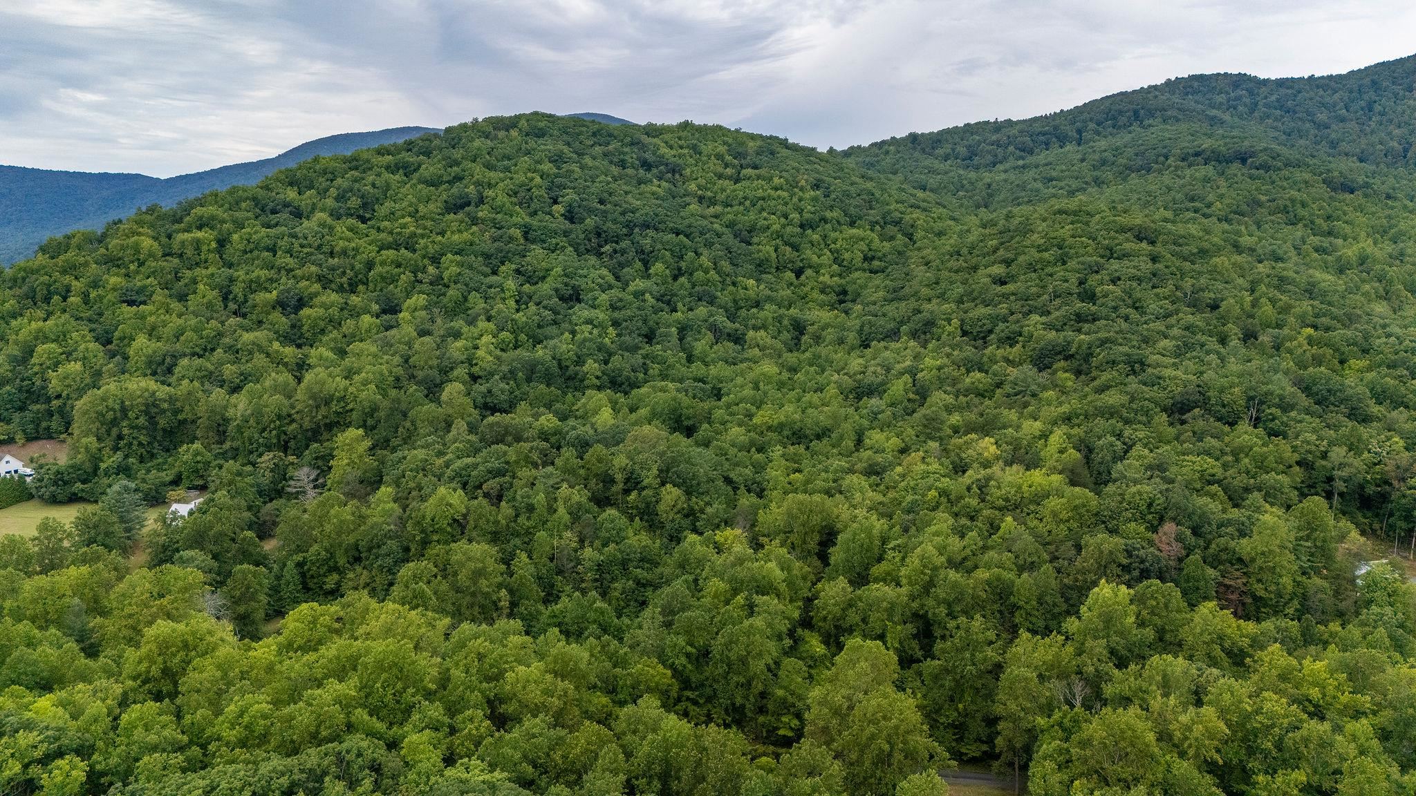 48.48 Acres BLACKWELLS HOLLOW RD, CROZET, Virginia 22932, ,Land,48.48 Acres BLACKWELLS HOLLOW RD,655852 MLS # 655852