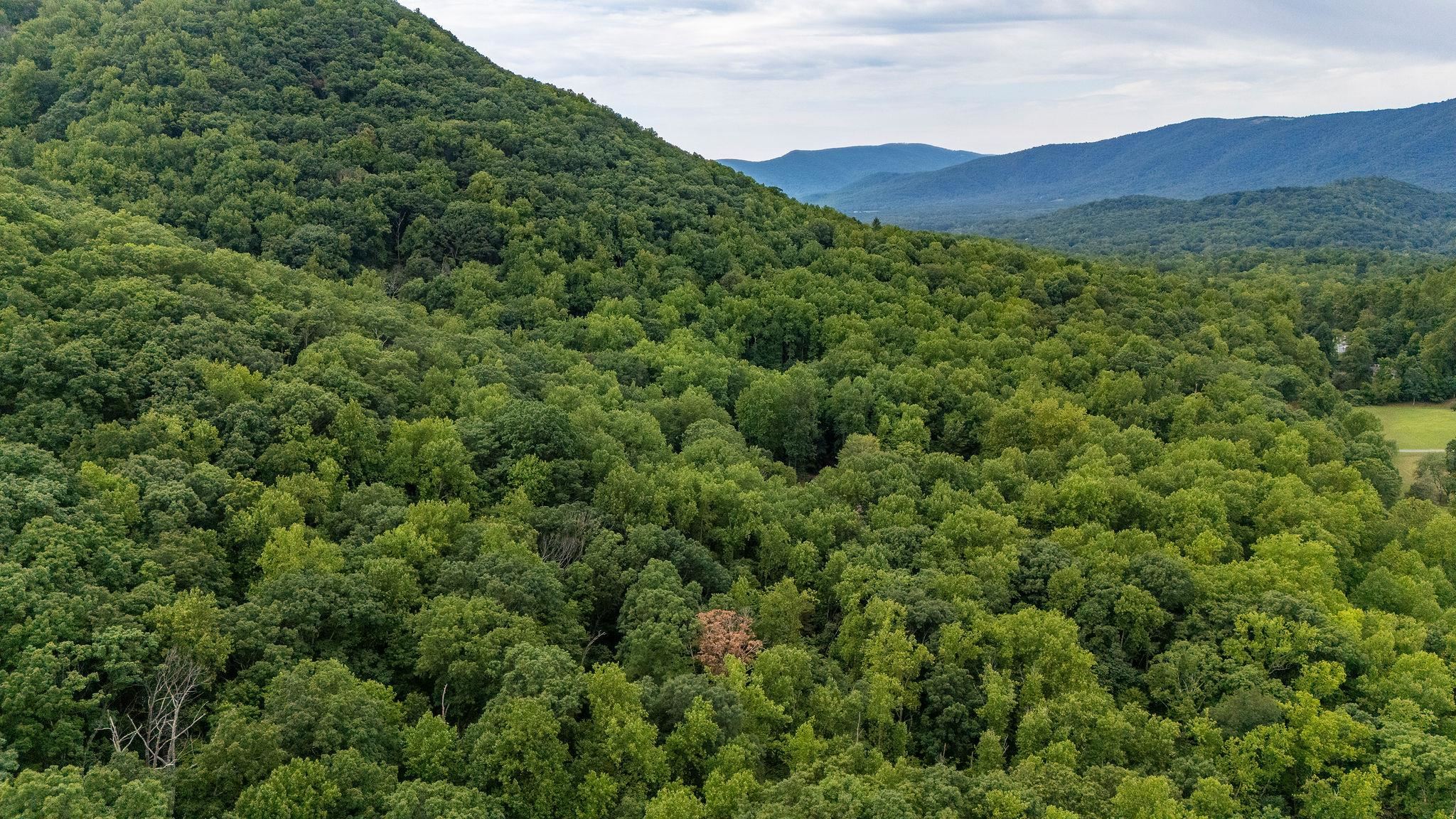 48.48 Acres BLACKWELLS HOLLOW RD, CROZET, Virginia 22932, ,Land,48.48 Acres BLACKWELLS HOLLOW RD,655852 MLS # 655852