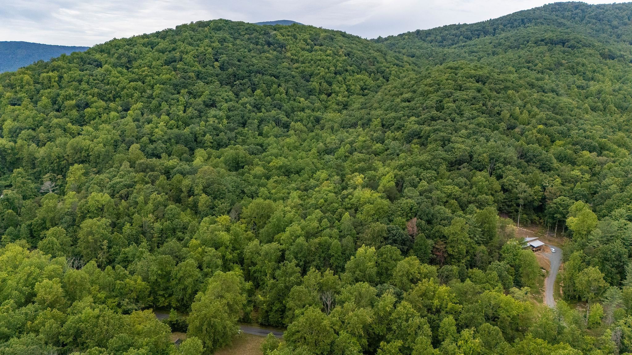 48.48 Acres BLACKWELLS HOLLOW RD, CROZET, Virginia 22932, ,Land,48.48 Acres BLACKWELLS HOLLOW RD,655852 MLS # 655852