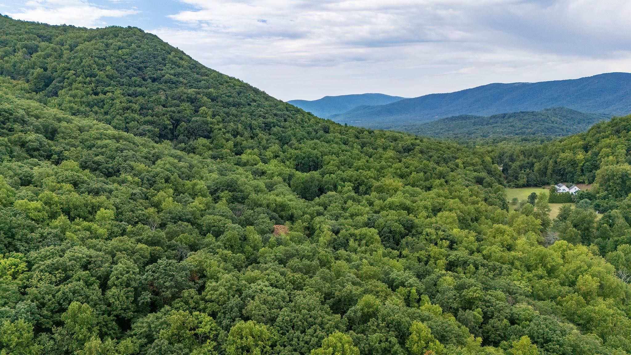 48.48 Acres BLACKWELLS HOLLOW RD, CROZET, Virginia 22932, ,Land,48.48 Acres BLACKWELLS HOLLOW RD,655852 MLS # 655852