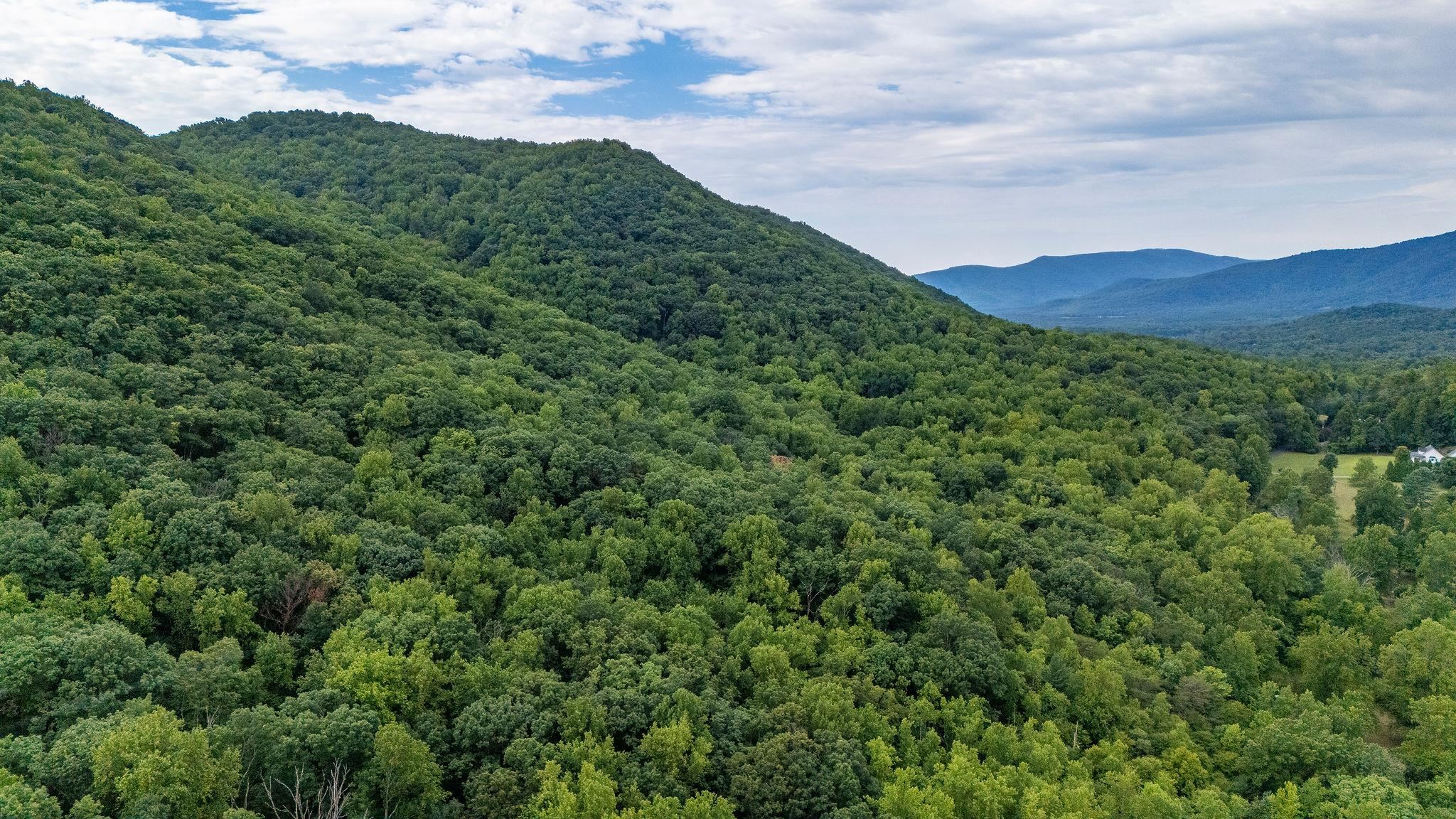 48.48 Acres BLACKWELLS HOLLOW RD, CROZET, Virginia 22932, ,Land,48.48 Acres BLACKWELLS HOLLOW RD,655852 MLS # 655852