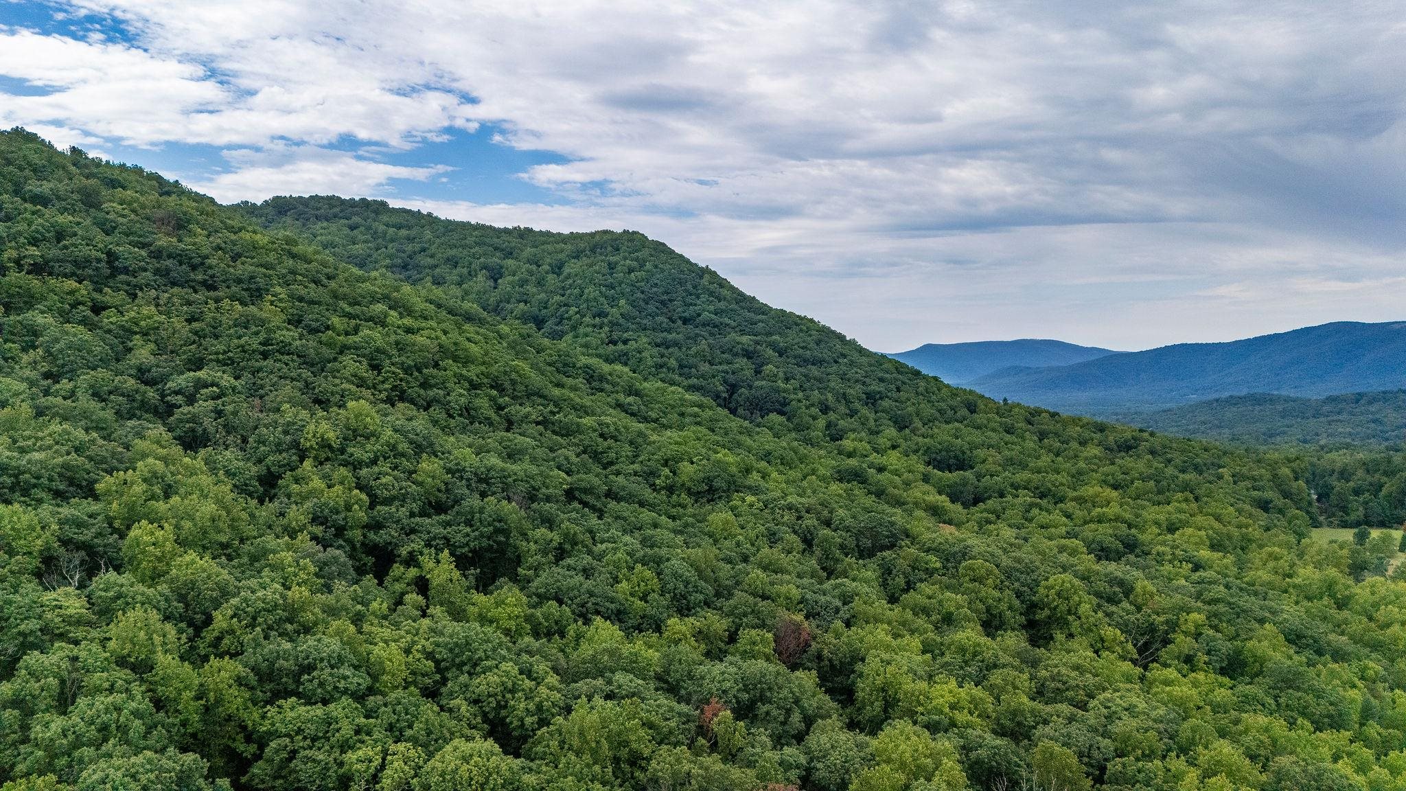 48.48 Acres BLACKWELLS HOLLOW RD, CROZET, Virginia 22932, ,Land,48.48 Acres BLACKWELLS HOLLOW RD,655852 MLS # 655852