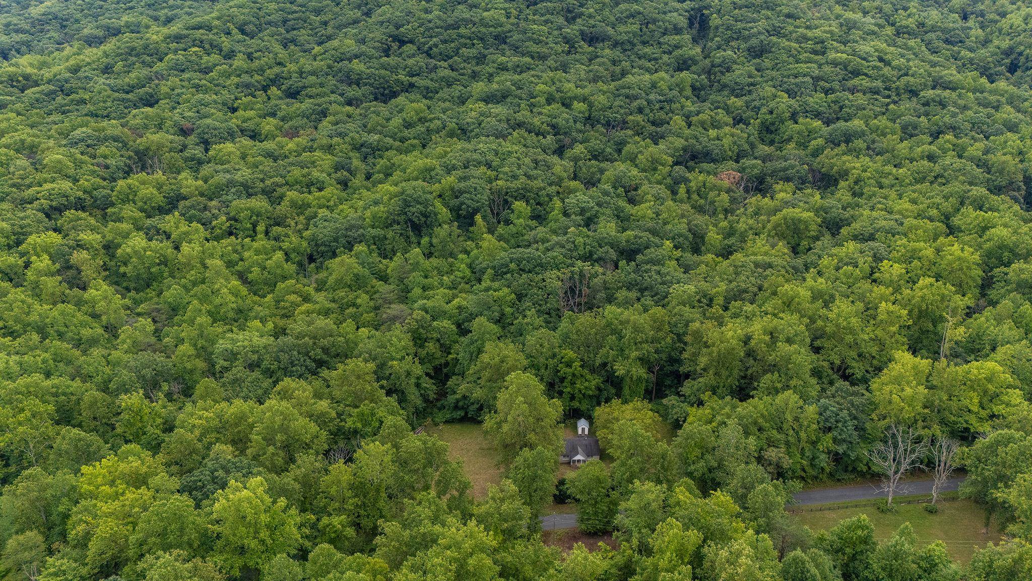 48.48 Acres BLACKWELLS HOLLOW RD, CROZET, Virginia 22932, ,Land,48.48 Acres BLACKWELLS HOLLOW RD,655852 MLS # 655852