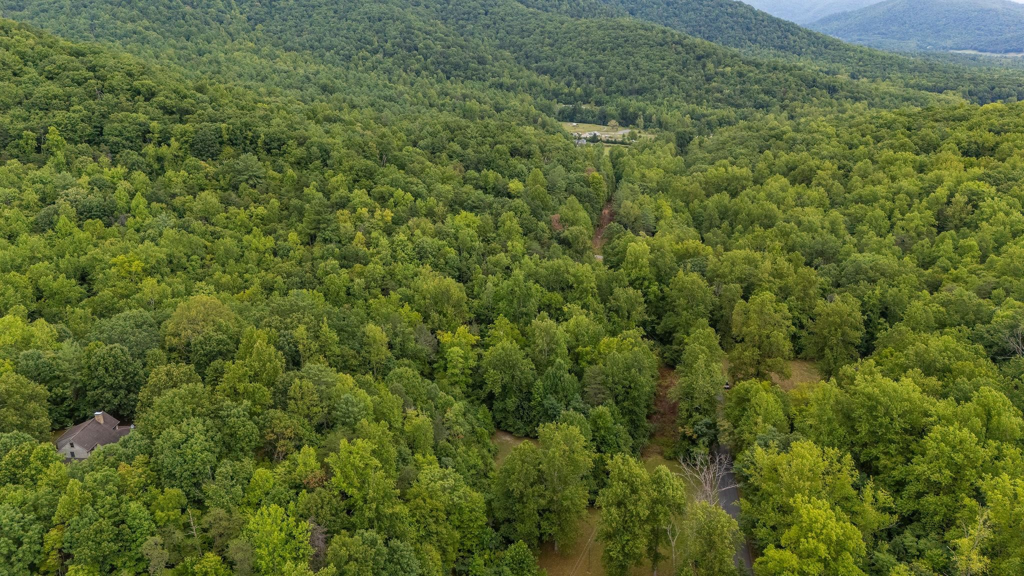 48.48 Acres BLACKWELLS HOLLOW RD, CROZET, Virginia 22932, ,Land,48.48 Acres BLACKWELLS HOLLOW RD,655852 MLS # 655852