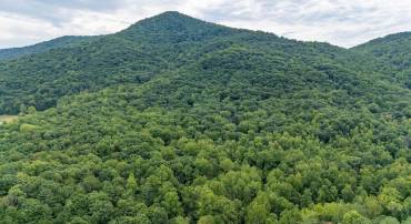 48.48 Acres BLACKWELLS HOLLOW RD, CROZET, Virginia 22932, ,Land,48.48 Acres BLACKWELLS HOLLOW RD,655852 MLS # 655852