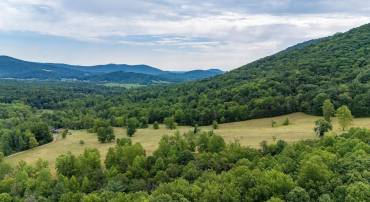 96 Acres BLACKWELLS HOLLOW RD, CROZET, Virginia 22932, ,Farm,96 Acres BLACKWELLS HOLLOW RD,655853 MLS # 655853