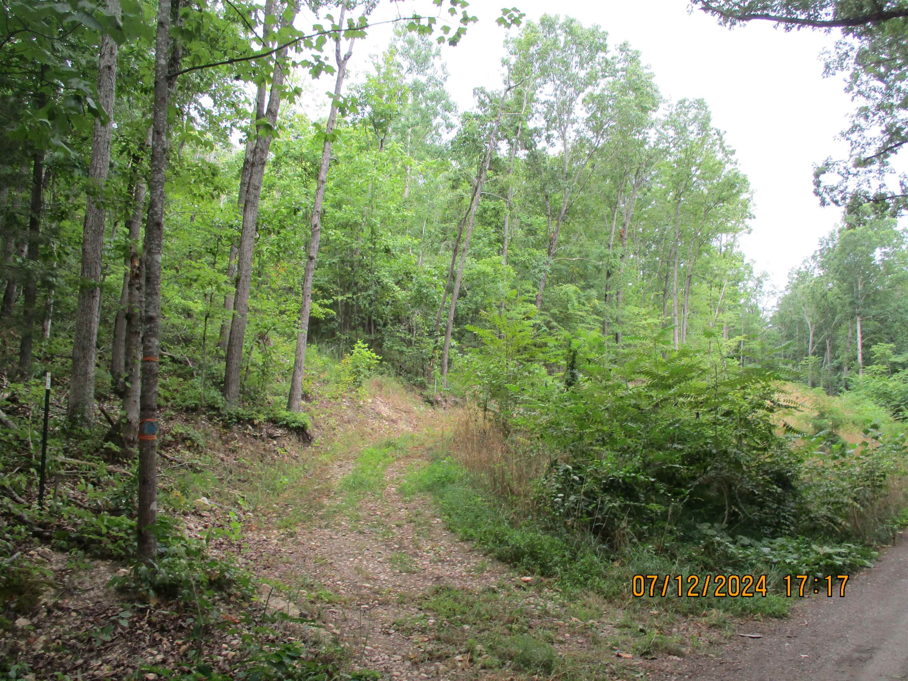 TBD BLACK BEAR LN, CRIMORA, Virginia 24431, ,Land,TBD BLACK BEAR LN,655046 MLS # 655046