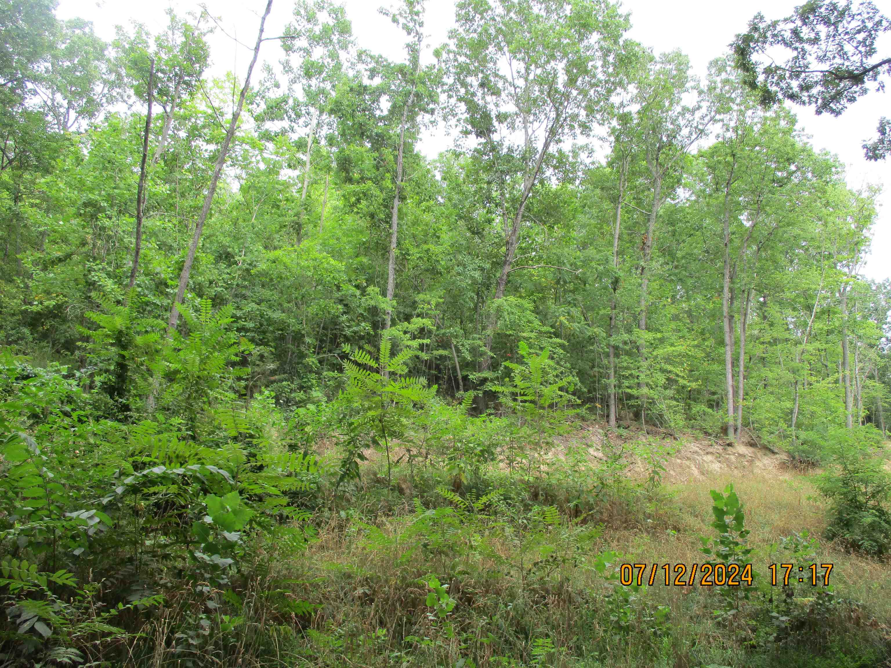 TBD BLACK BEAR LN, CRIMORA, Virginia 24431, ,Land,TBD BLACK BEAR LN,655046 MLS # 655046