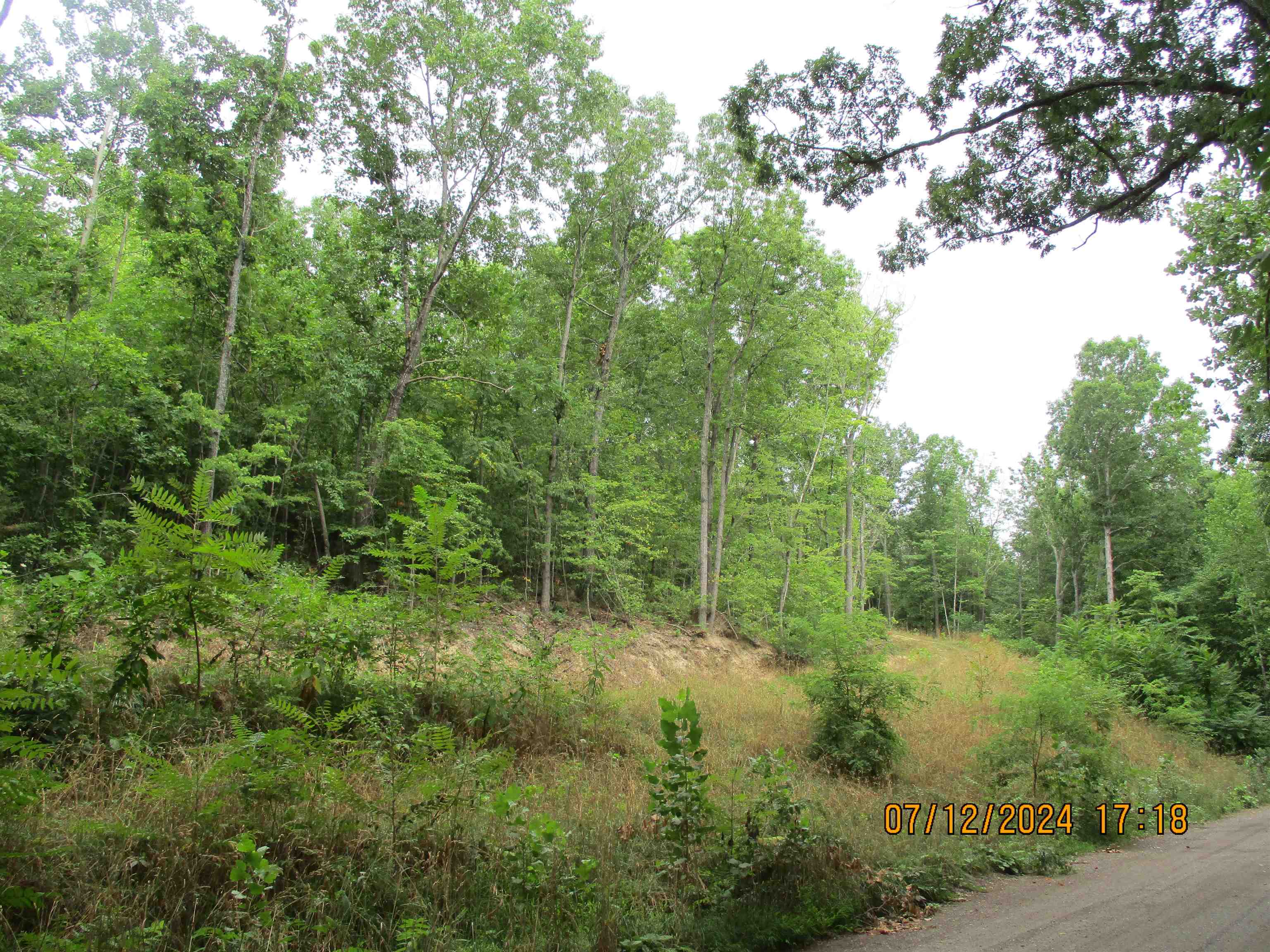 TBD BLACK BEAR LN, CRIMORA, Virginia 24431, ,Land,TBD BLACK BEAR LN,655046 MLS # 655046