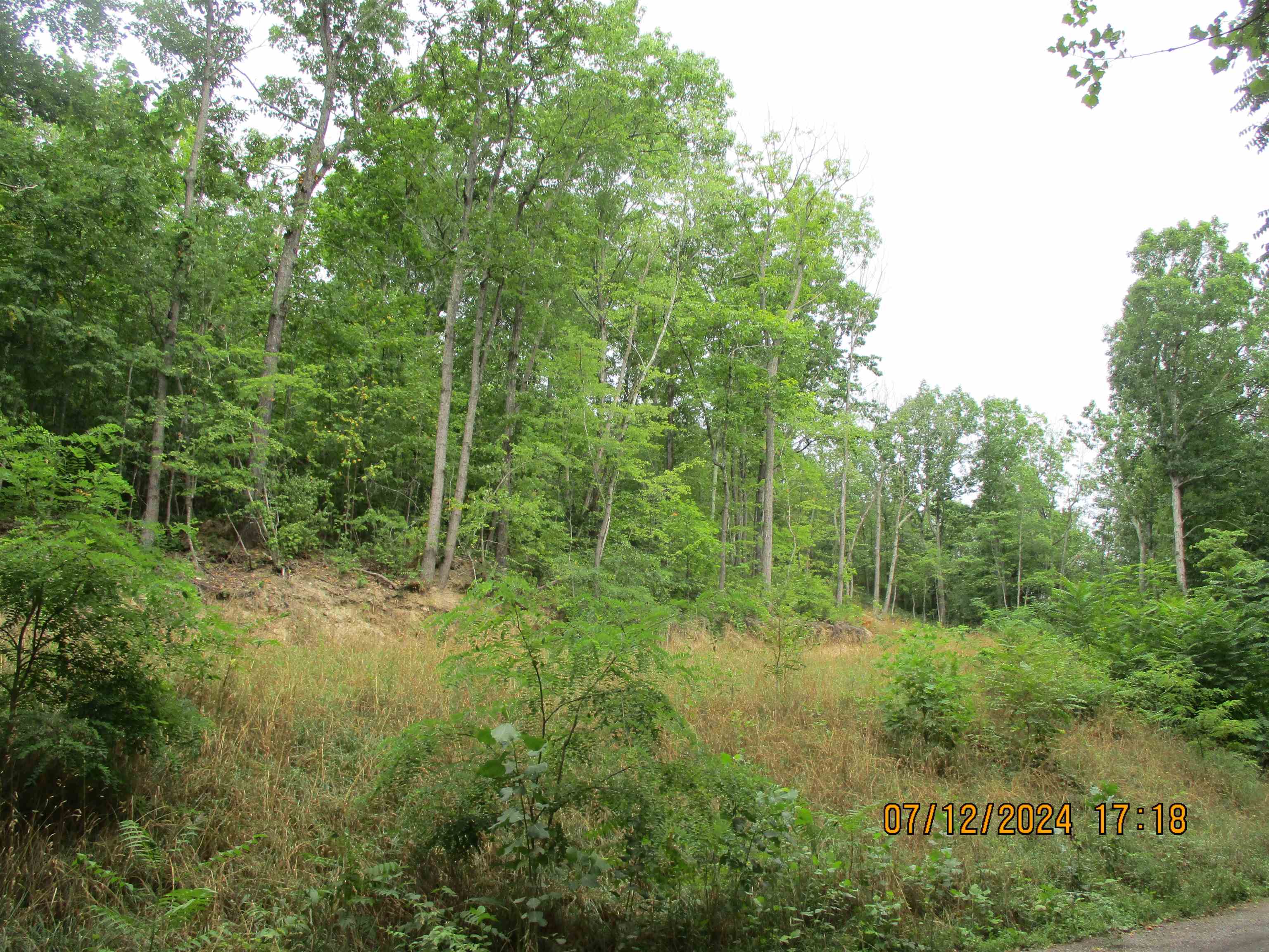 TBD BLACK BEAR LN, CRIMORA, Virginia 24431, ,Land,TBD BLACK BEAR LN,655046 MLS # 655046