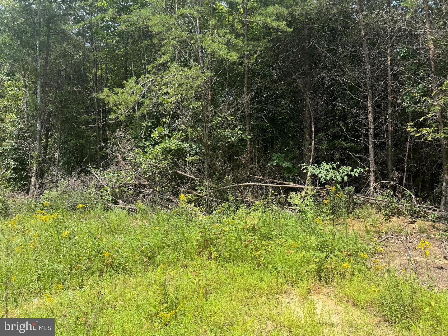 LOT 3 BUCKNER RD, MINERAL, Virginia 23117, ,Land,For sale,LOT 3 BUCKNER RD,VALA2006220 MLS # VALA2006220