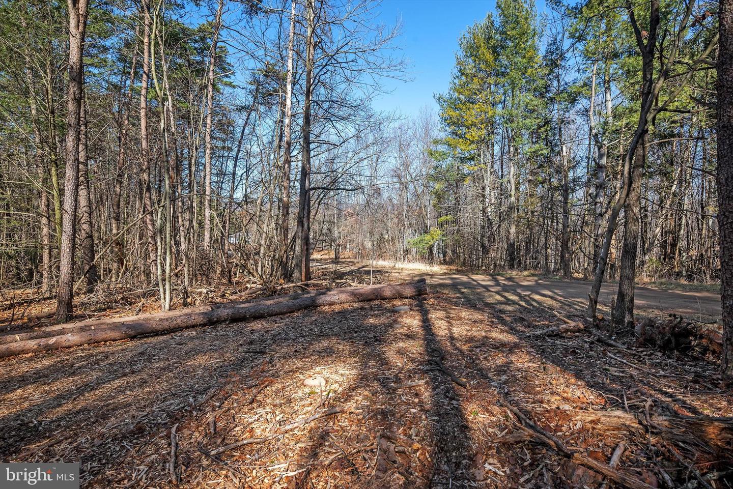 LOT 24 TIMBER RIDGE, CROSS JUNCTION, Virginia 22625, ,Land,For sale,LOT 24 TIMBER RIDGE,VAFV2017076 MLS # VAFV2017076