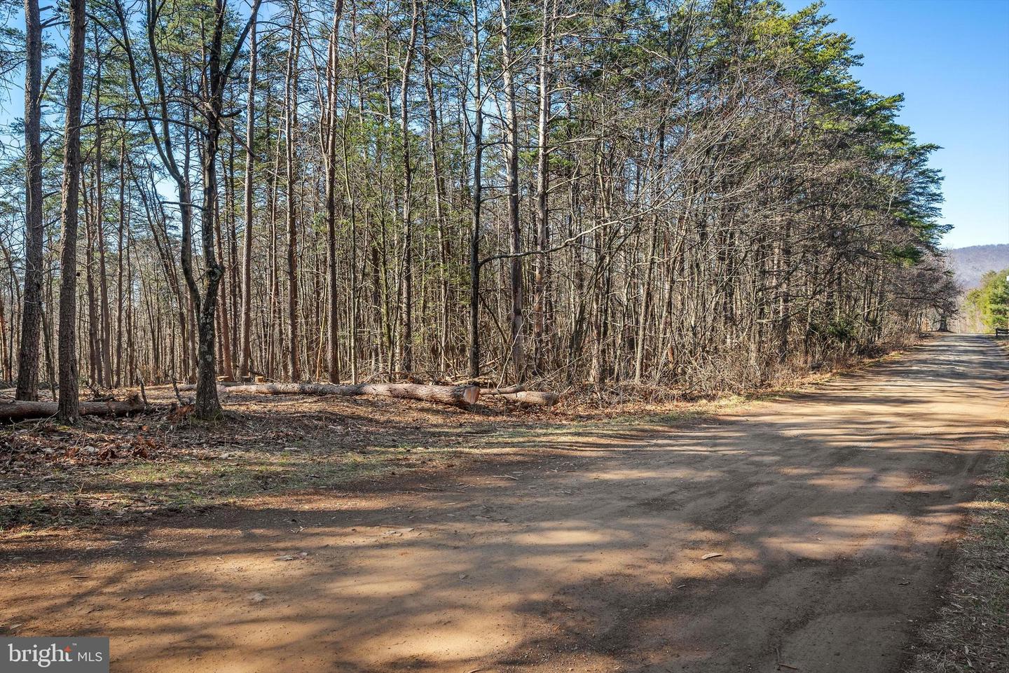 LOT 24 TIMBER RIDGE, CROSS JUNCTION, Virginia 22625, ,Land,For sale,LOT 24 TIMBER RIDGE,VAFV2017076 MLS # VAFV2017076