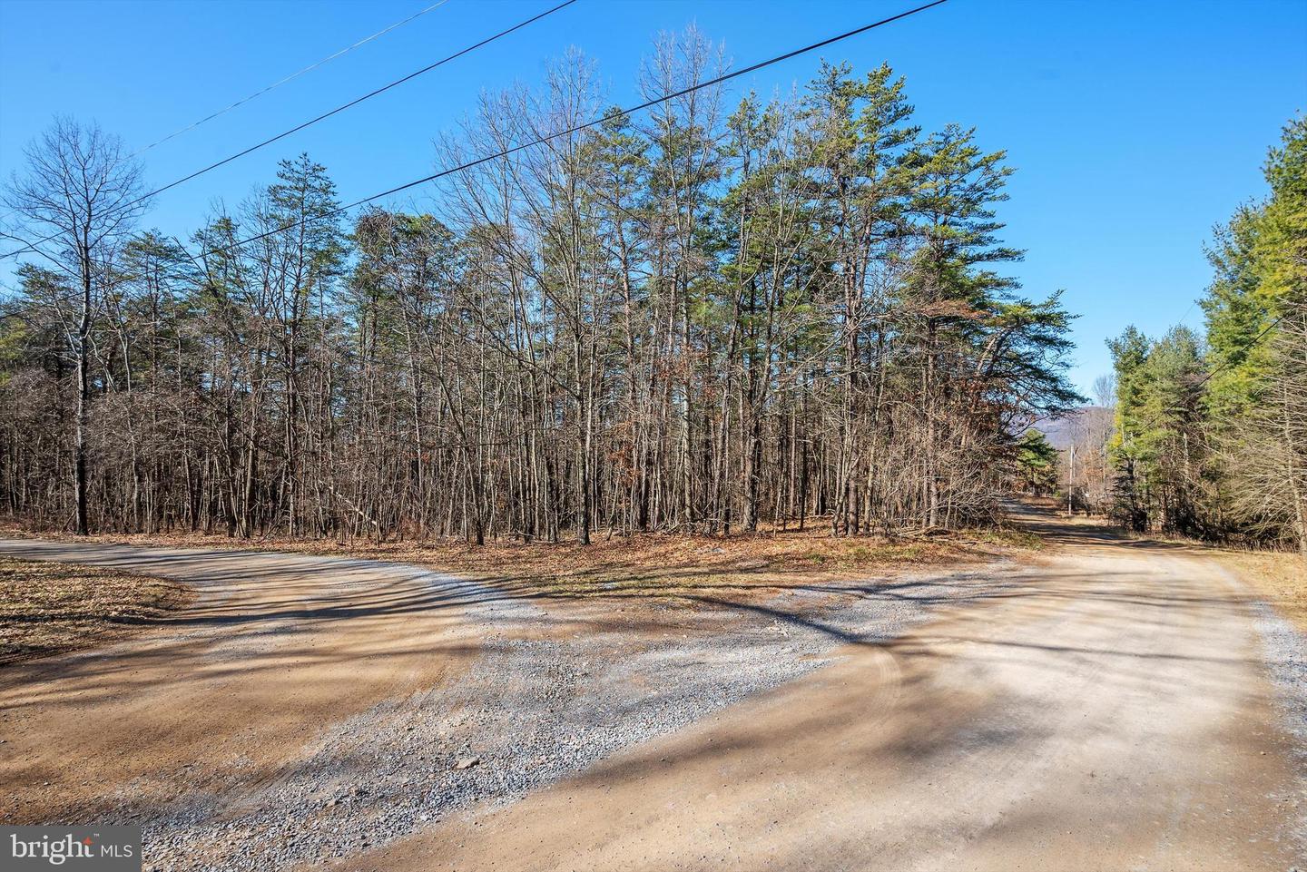 LOT 24 TIMBER RIDGE, CROSS JUNCTION, Virginia 22625, ,Land,For sale,LOT 24 TIMBER RIDGE,VAFV2017076 MLS # VAFV2017076