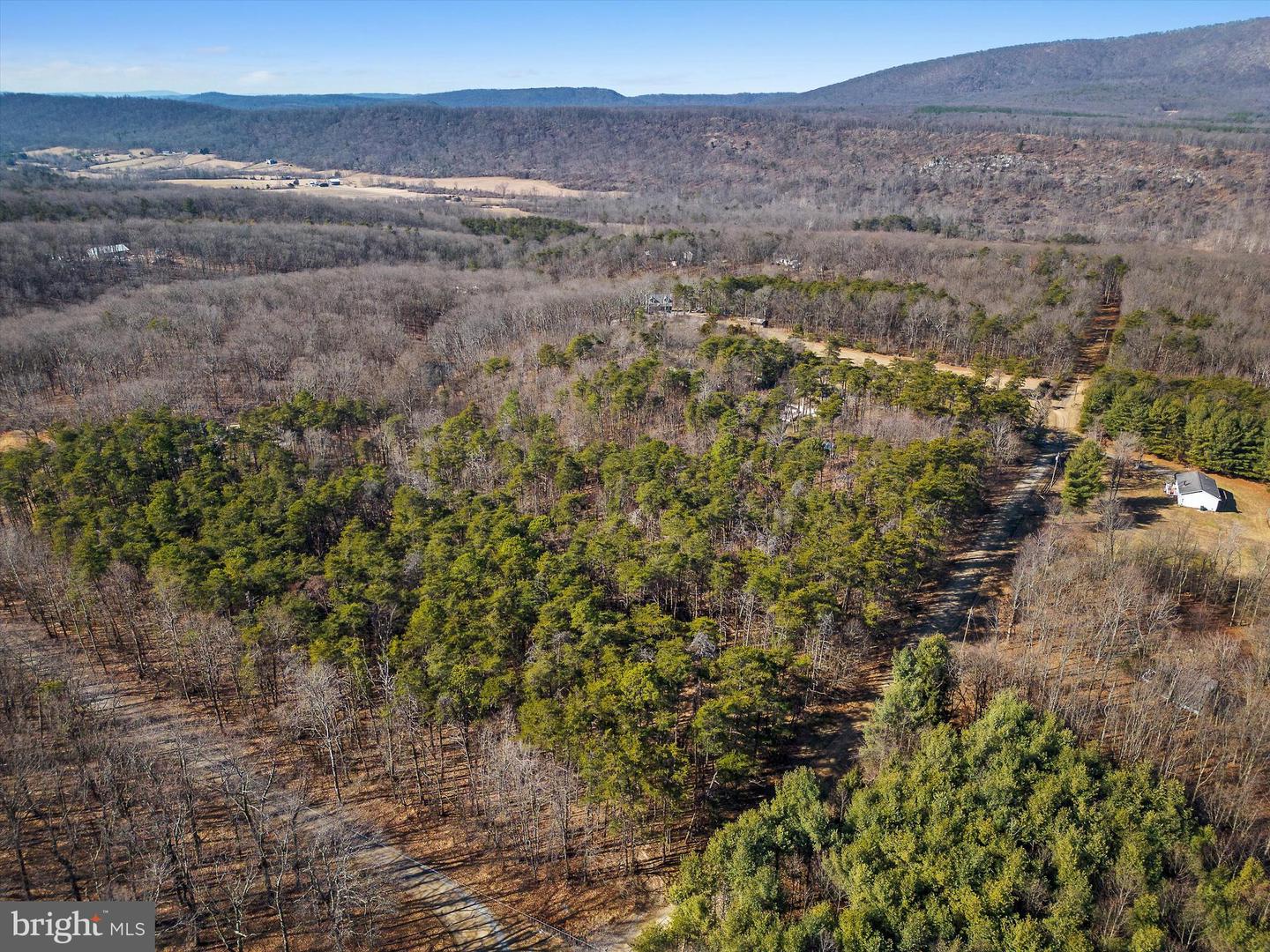 LOT 24 TIMBER RIDGE, CROSS JUNCTION, Virginia 22625, ,Land,For sale,LOT 24 TIMBER RIDGE,VAFV2017076 MLS # VAFV2017076