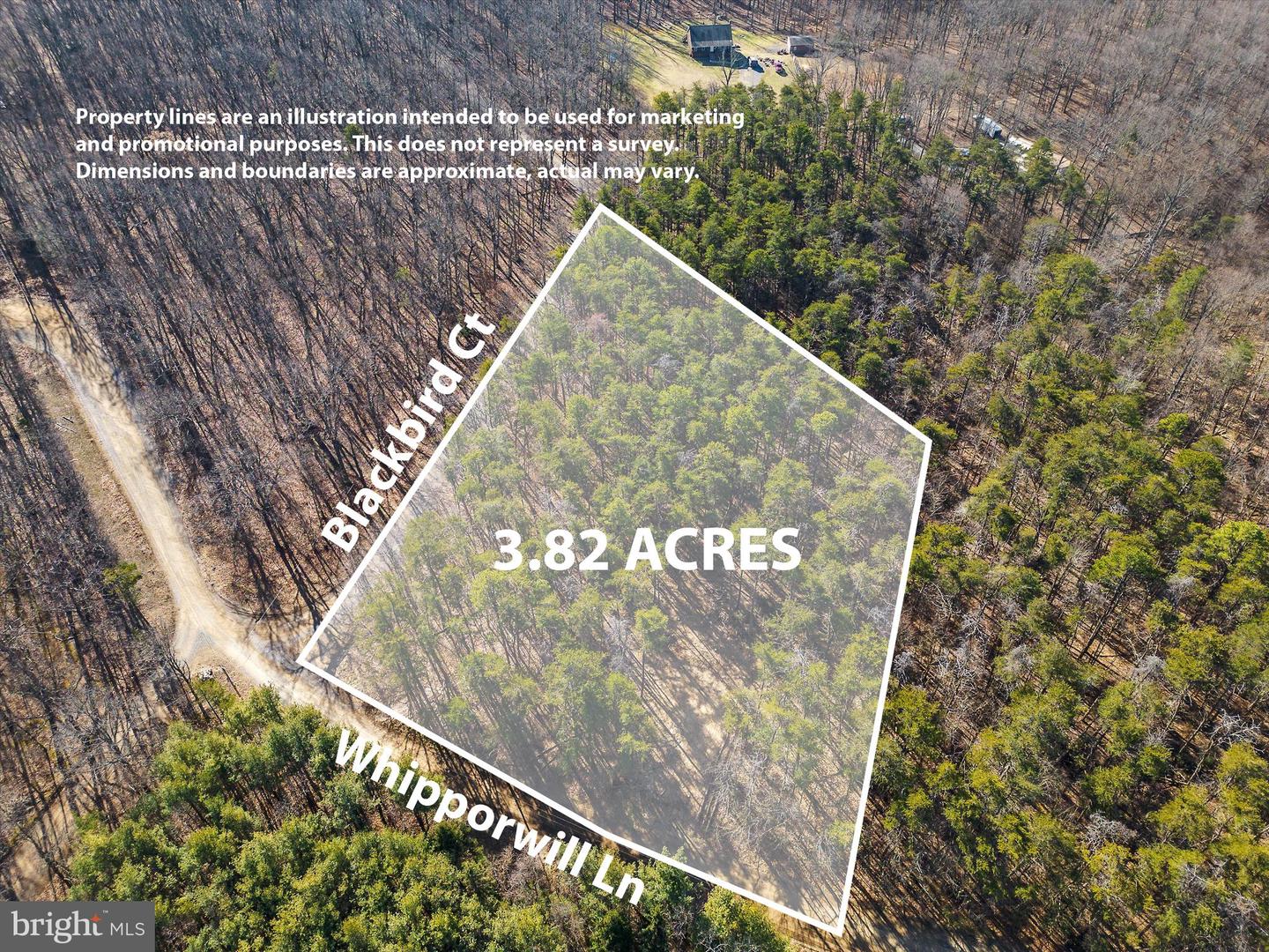 LOT 24 TIMBER RIDGE, CROSS JUNCTION, Virginia 22625, ,Land,For sale,LOT 24 TIMBER RIDGE,VAFV2017076 MLS # VAFV2017076