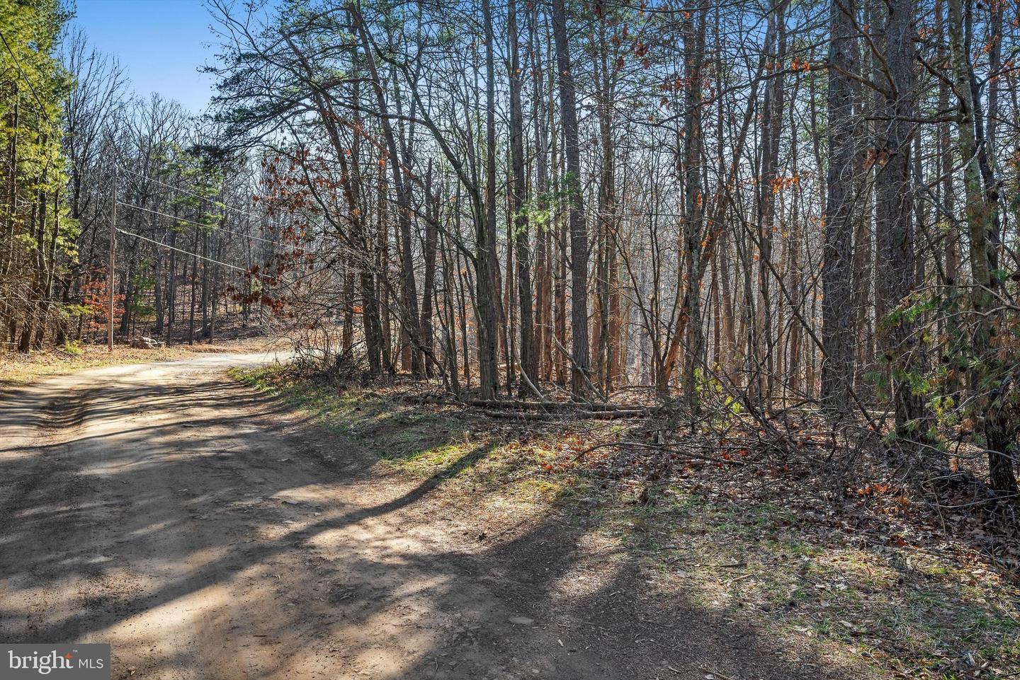 LOT 24 TIMBER RIDGE, CROSS JUNCTION, Virginia 22625, ,Land,For sale,LOT 24 TIMBER RIDGE,VAFV2017076 MLS # VAFV2017076