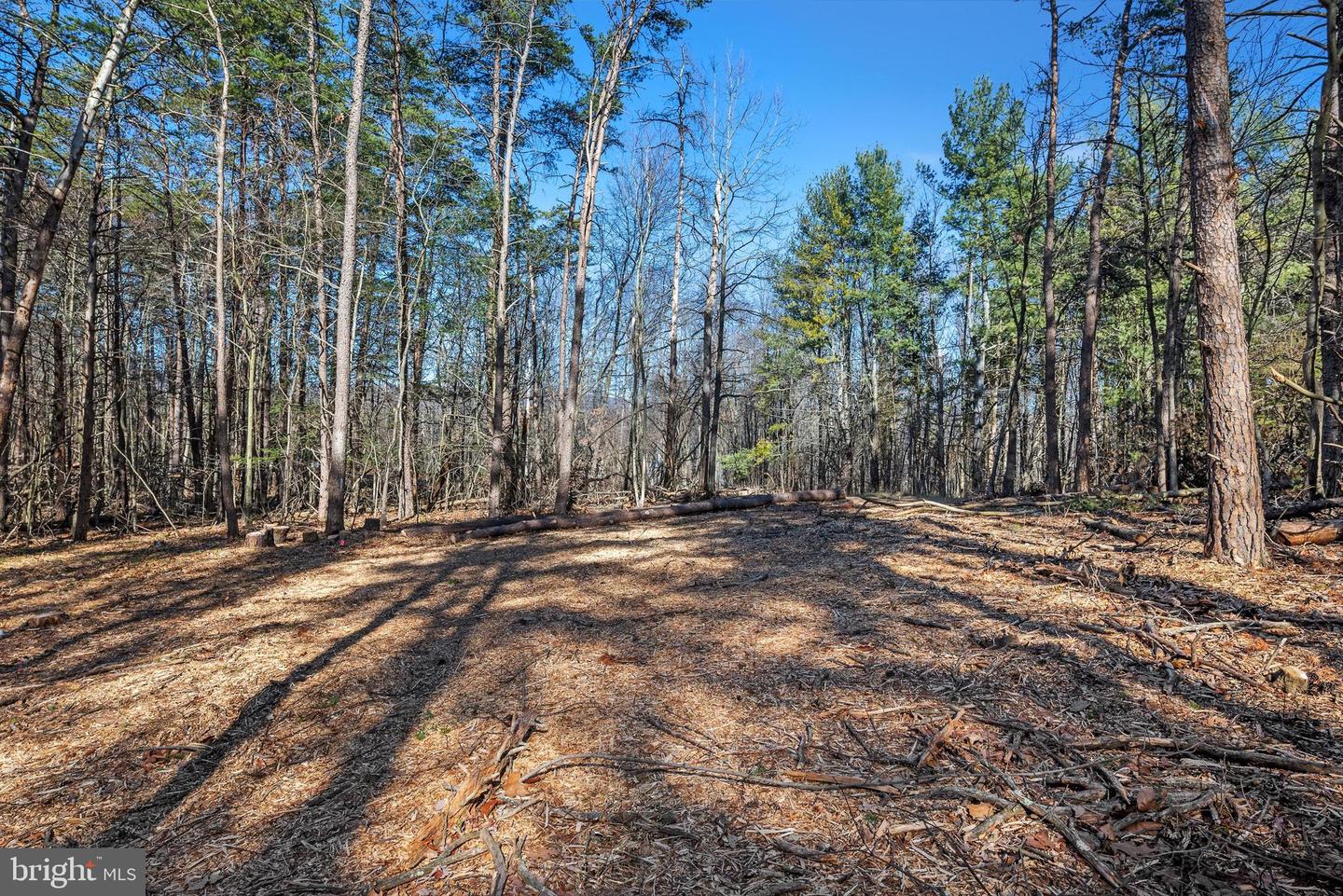 LOT 24 TIMBER RIDGE, CROSS JUNCTION, Virginia 22625, ,Land,For sale,LOT 24 TIMBER RIDGE,VAFV2017076 MLS # VAFV2017076