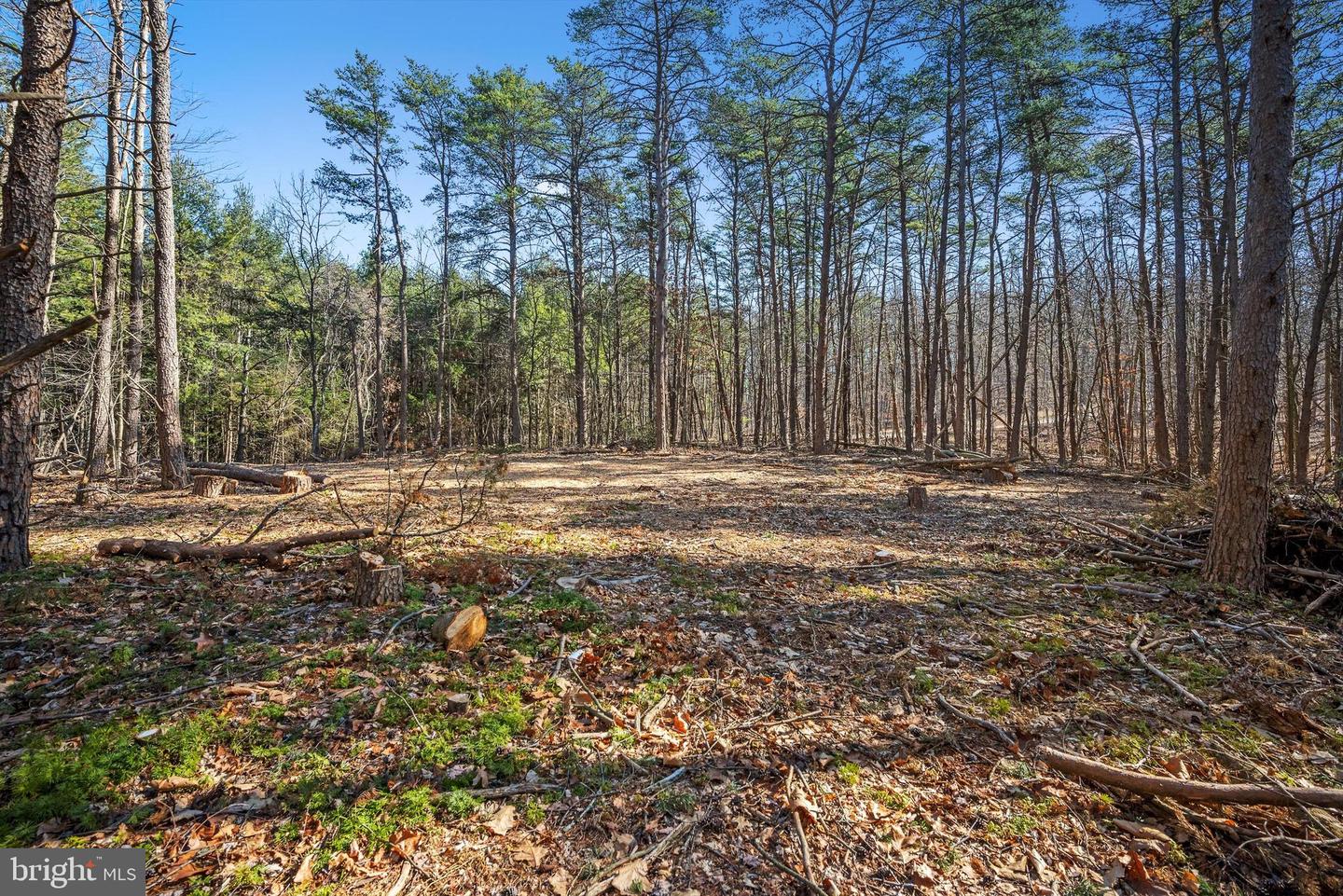 LOT 24 TIMBER RIDGE, CROSS JUNCTION, Virginia 22625, ,Land,For sale,LOT 24 TIMBER RIDGE,VAFV2017076 MLS # VAFV2017076