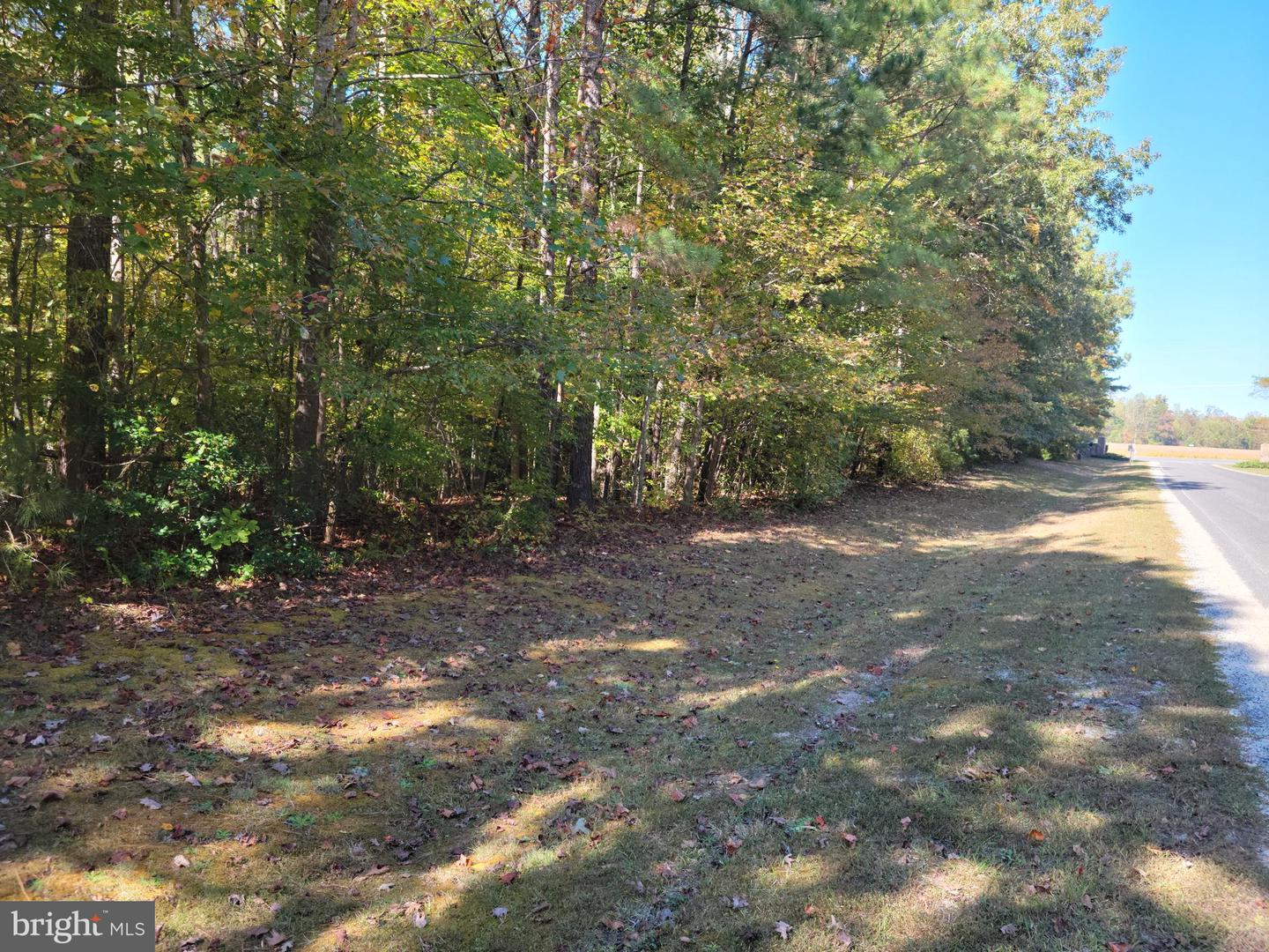 LOT 16 STEAMBOAT LN, HEATHSVILLE, Virginia 22473, ,Land,For sale,LOT 16 STEAMBOAT LN,VANV2001264 MLS # VANV2001264