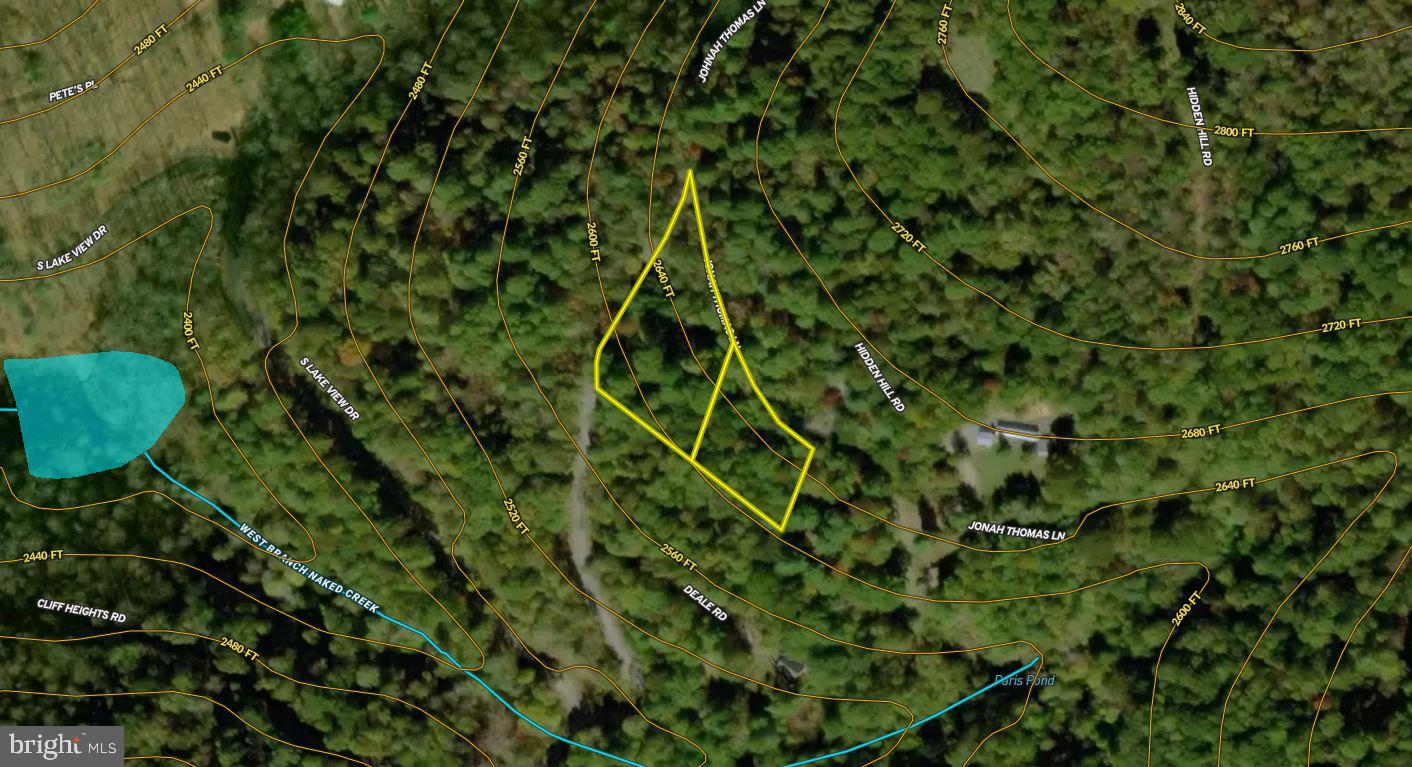 1066 S LAKEVIEW DR, STANLEY, Virginia 22851, ,Land,For sale,1066 S LAKEVIEW DR,VAPA2003898 MLS # VAPA2003898