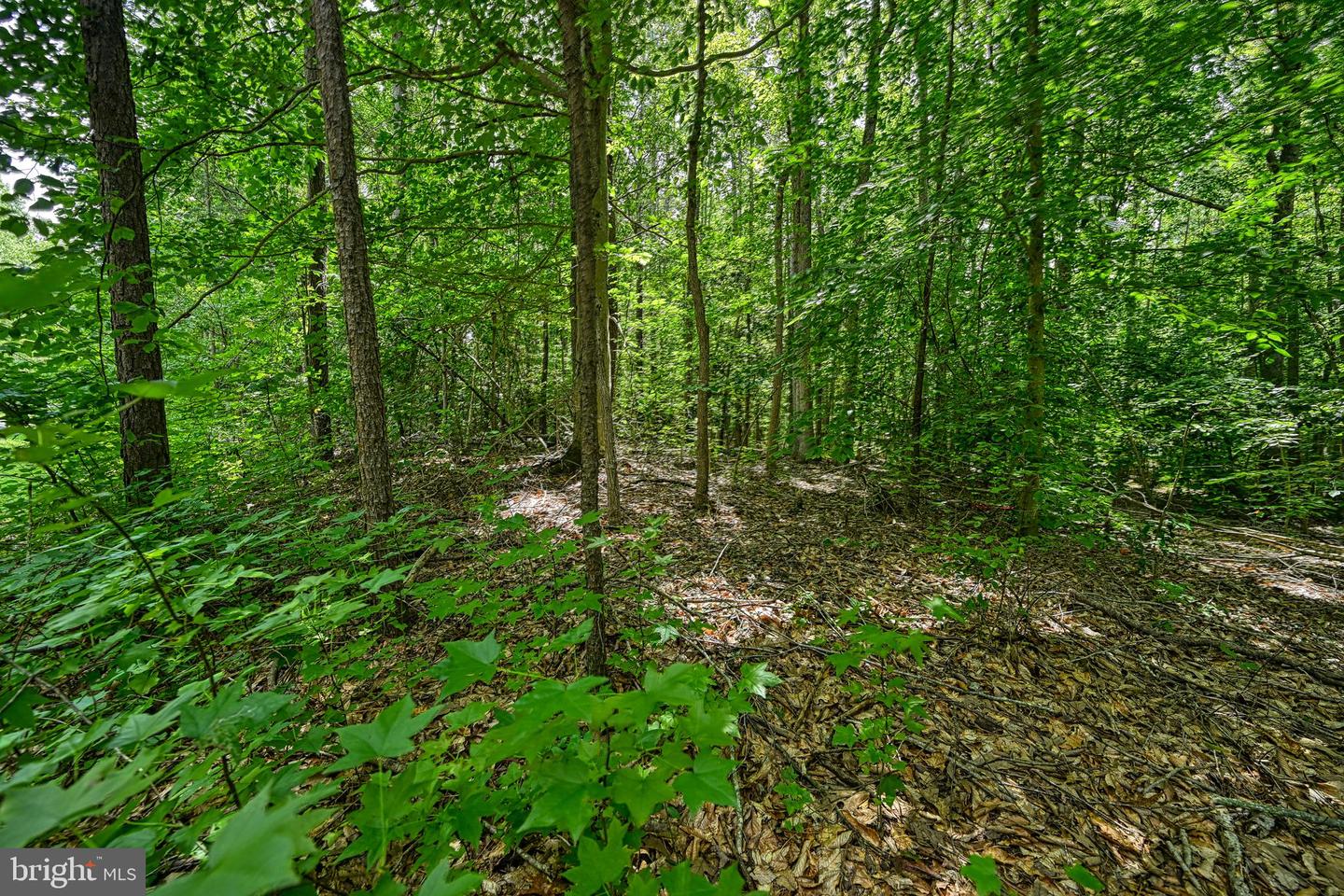 LOT 7 HICKORY LN, BUMPASS, Virginia 23024, ,Land,For sale,LOT 7 HICKORY LN,VALA2006216 MLS # VALA2006216