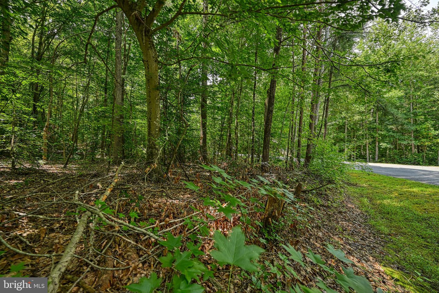 LOT 7 HICKORY LN, BUMPASS, Virginia 23024, ,Land,For sale,LOT 7 HICKORY LN,VALA2006216 MLS # VALA2006216