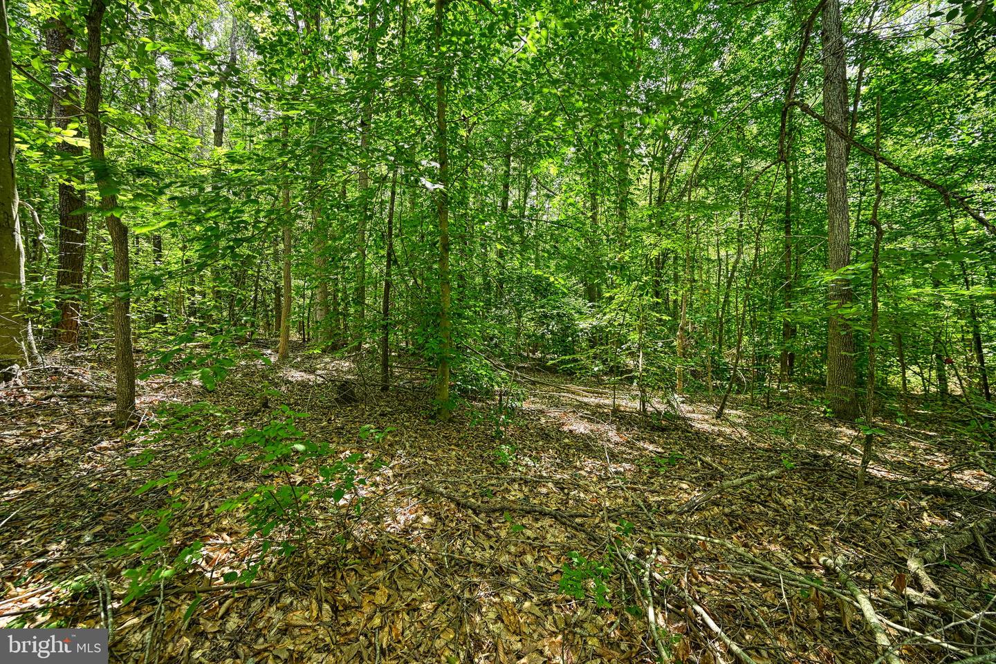 LOT 7 HICKORY LN, BUMPASS, Virginia 23024, ,Land,For sale,LOT 7 HICKORY LN,VALA2006216 MLS # VALA2006216