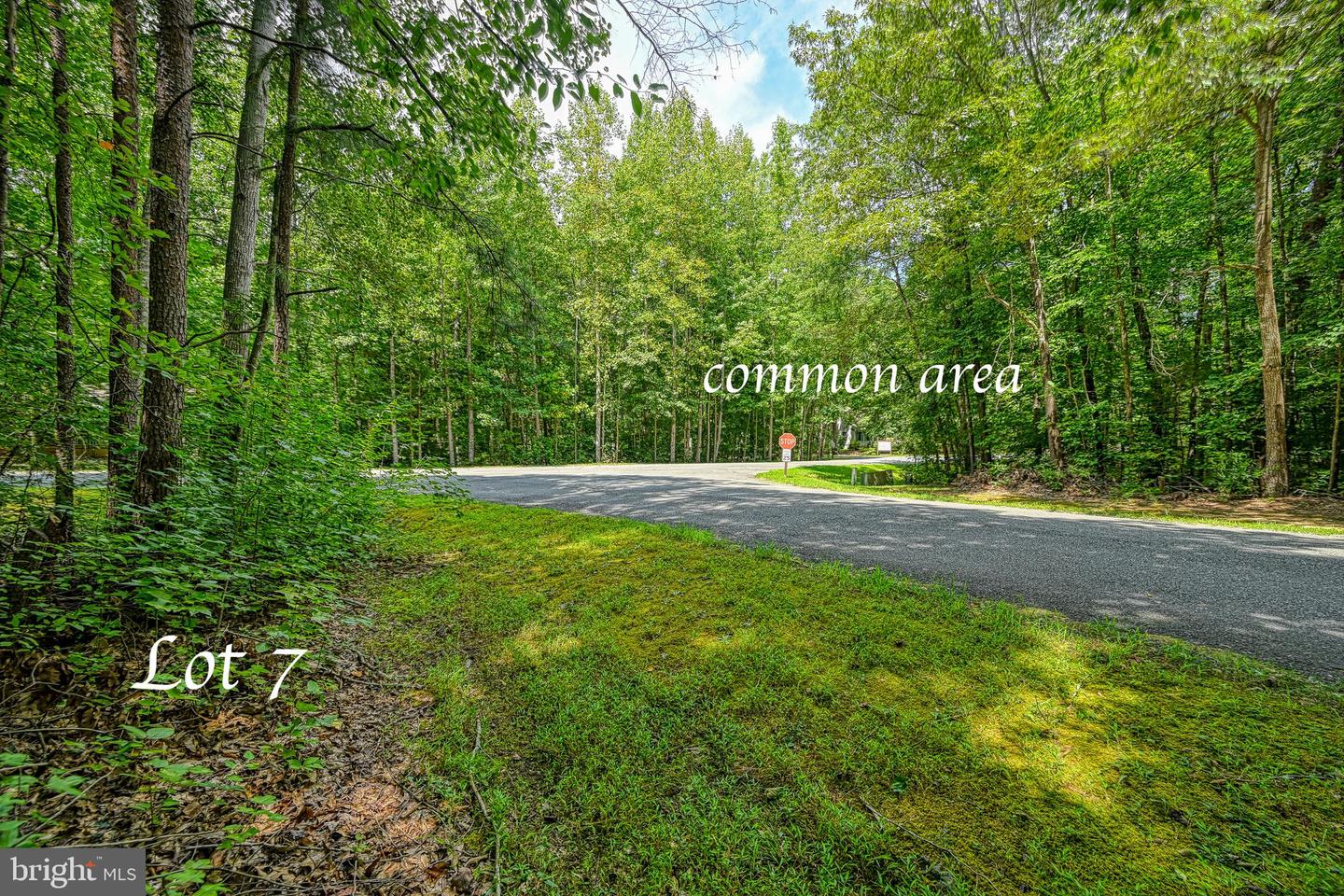 LOT 7 HICKORY LN, BUMPASS, Virginia 23024, ,Land,For sale,LOT 7 HICKORY LN,VALA2006216 MLS # VALA2006216