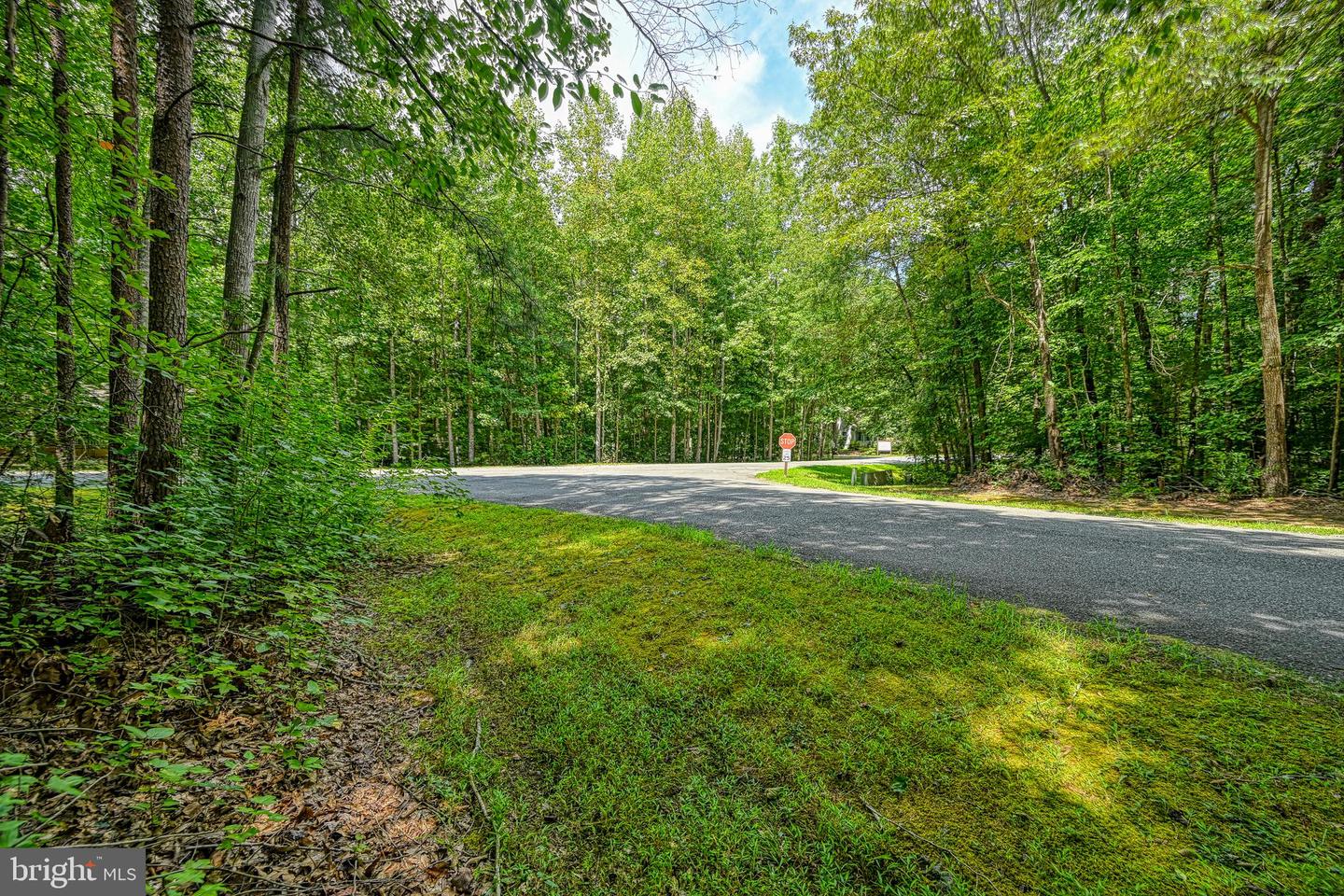 LOT 7 HICKORY LN, BUMPASS, Virginia 23024, ,Land,For sale,LOT 7 HICKORY LN,VALA2006216 MLS # VALA2006216